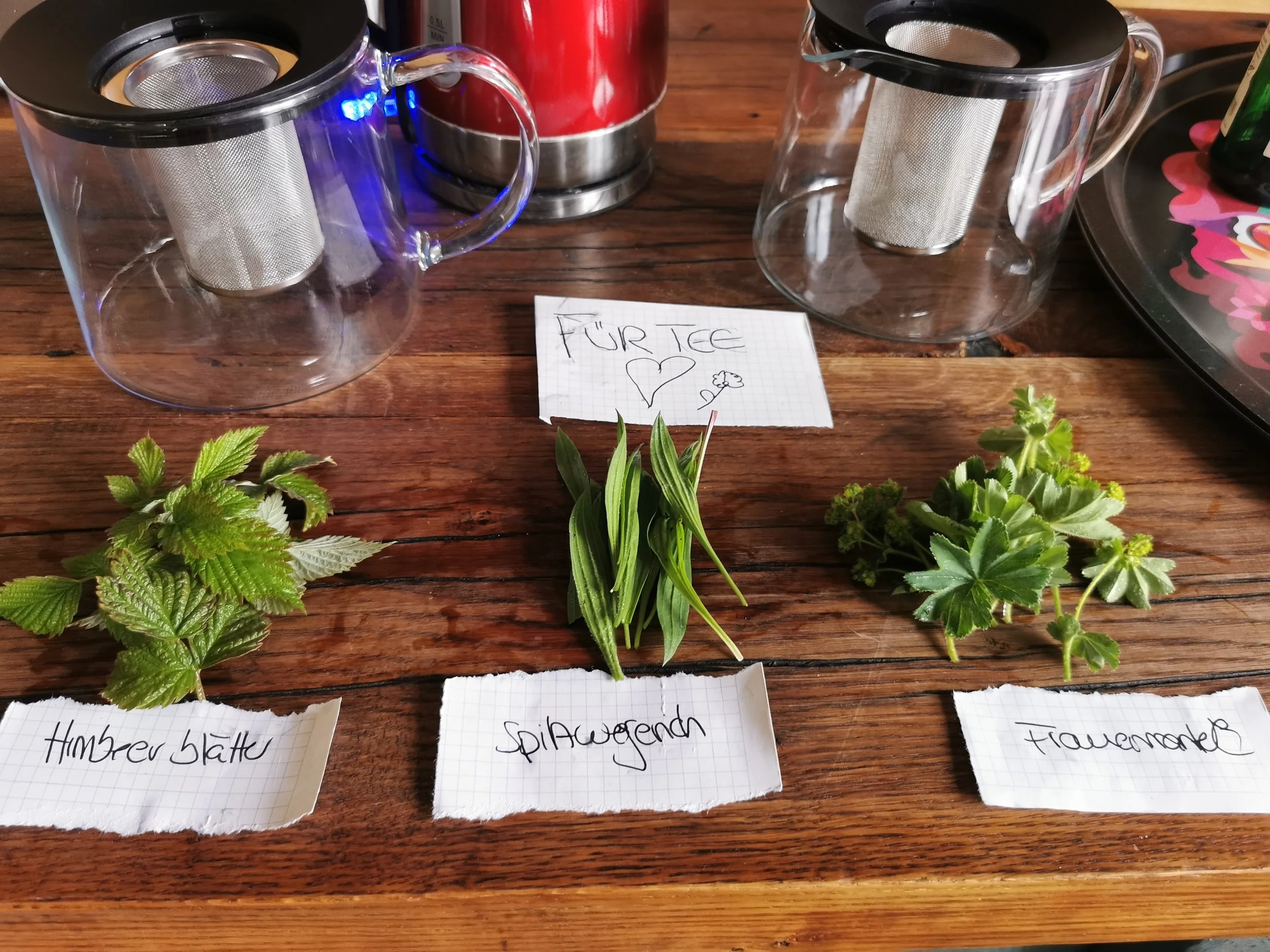 Mehrere Kräuter auf einem Holztisch, darunter Minze, Zitronenmelisse und andere, mit handgeschriebenen Namen auf Papier.
