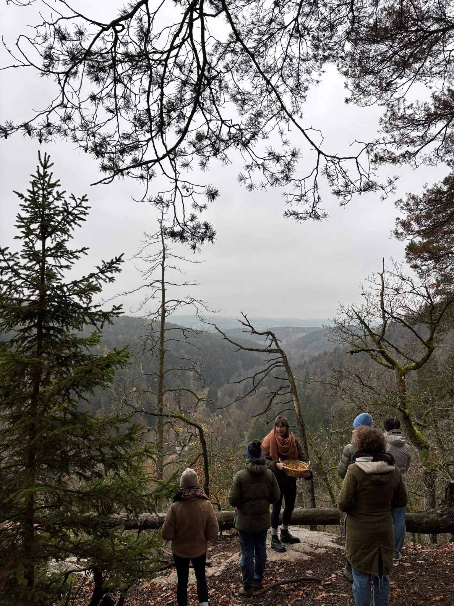 Menschen versammeln sich im Wald bei Bäumen, einige halten Körbe mit Essen, der Himmel ist bewölkt, im Hintergrund Berge und eine grüne Landschaft.