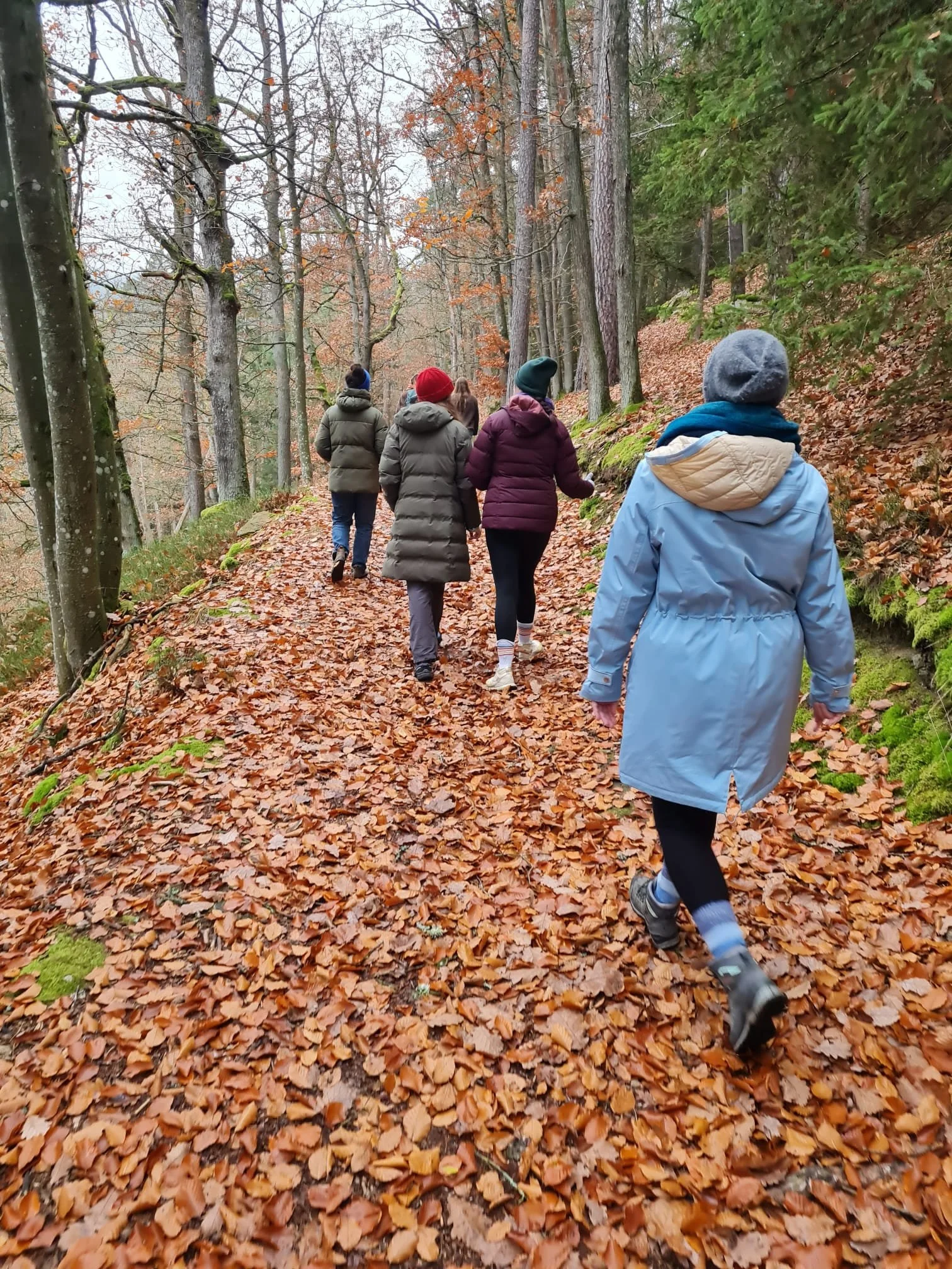 Menschen wandern im Herbst durch einen Wald mit fallenden Blättern auf dem Boden.