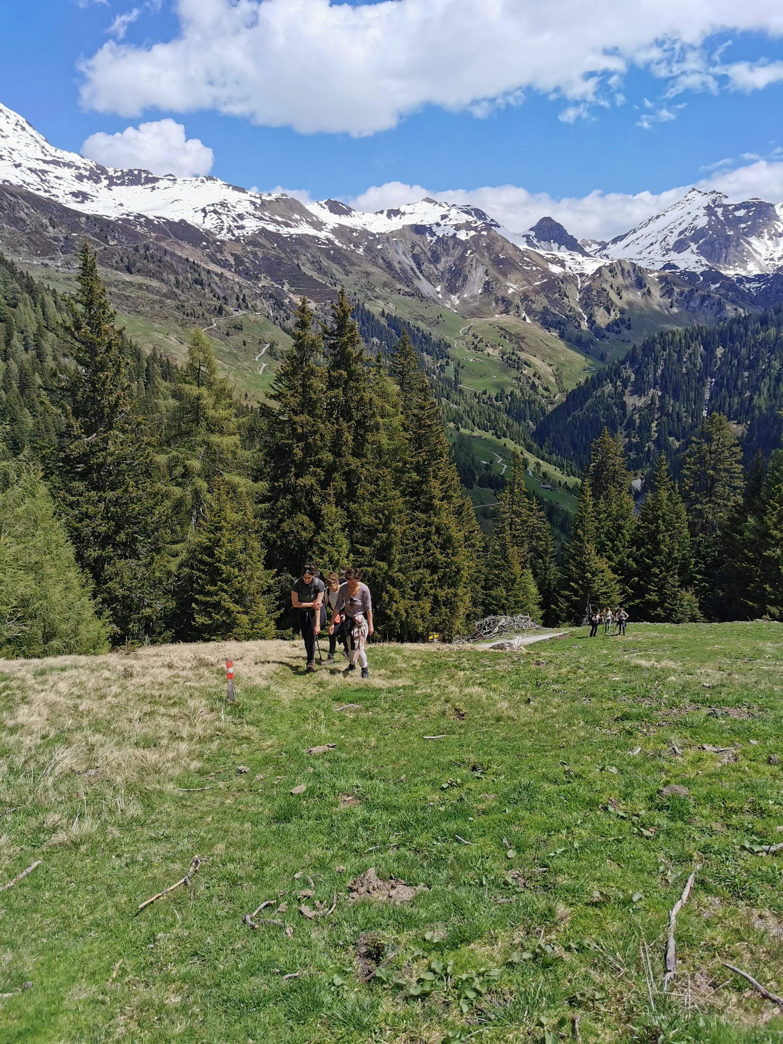 Auf einer grünen Wiese im Tal wandern drei Personen, umgeben von dichten Nadelbäumen, mit schneebedeckten Bergen im Hintergrund und einer blauen Himmel mit Wolken.