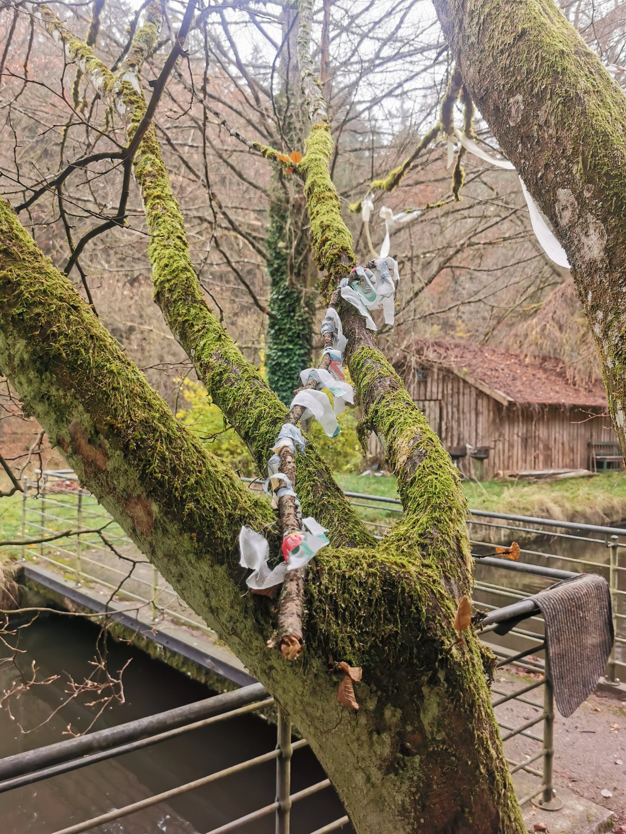 Baum mit bunten Bändern und Tüchern um den Stamm, im Hintergrund eine Holzhütte, Wasser unter der Brücke, im Herbst