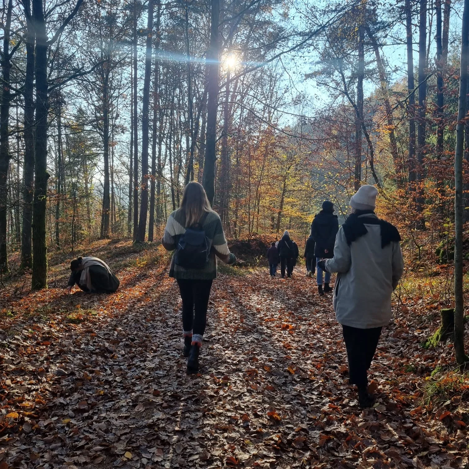Menschen wandern durch einen herbstlichen Wald auf einem Waldweg, Blätter auf dem Boden, Sonnenlicht durch die Bäume.