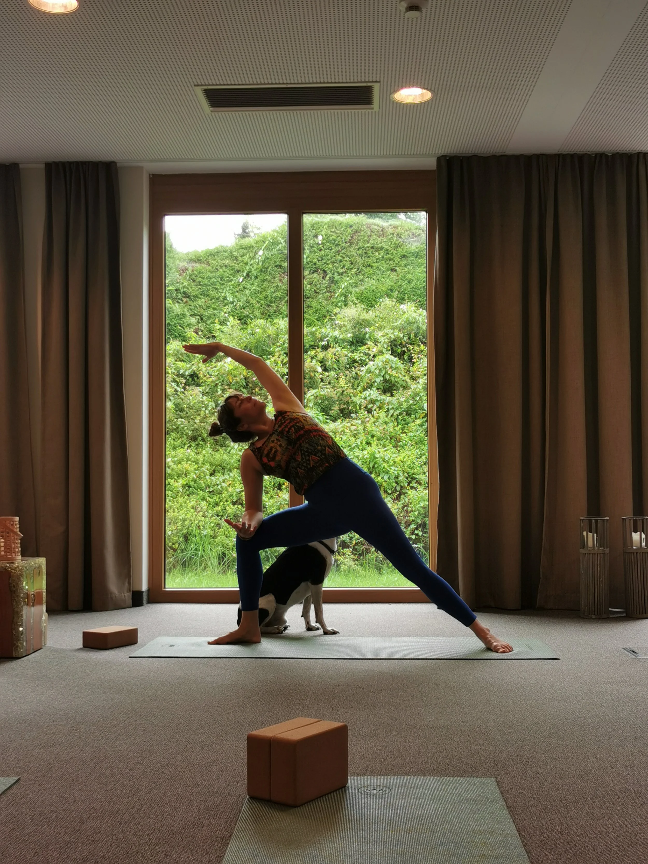Eine Frau macht Yoga in einem Raum vor einem großen Fenster mit Blick auf einen Garten, während sie eine Haltung einnimmt, die Balance und Flexibilität zeigt. Sie trägt ein bunt gemustertes Oberteil und dunkle Hosen, mit einem Hund, der neben ihr sit