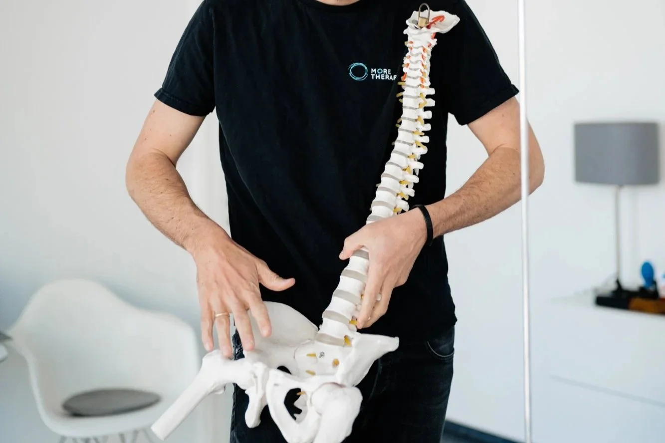 Person hält ein Modell der menschlichen Wirbelsäule in einem medizinischen Raum. MORE Therapy