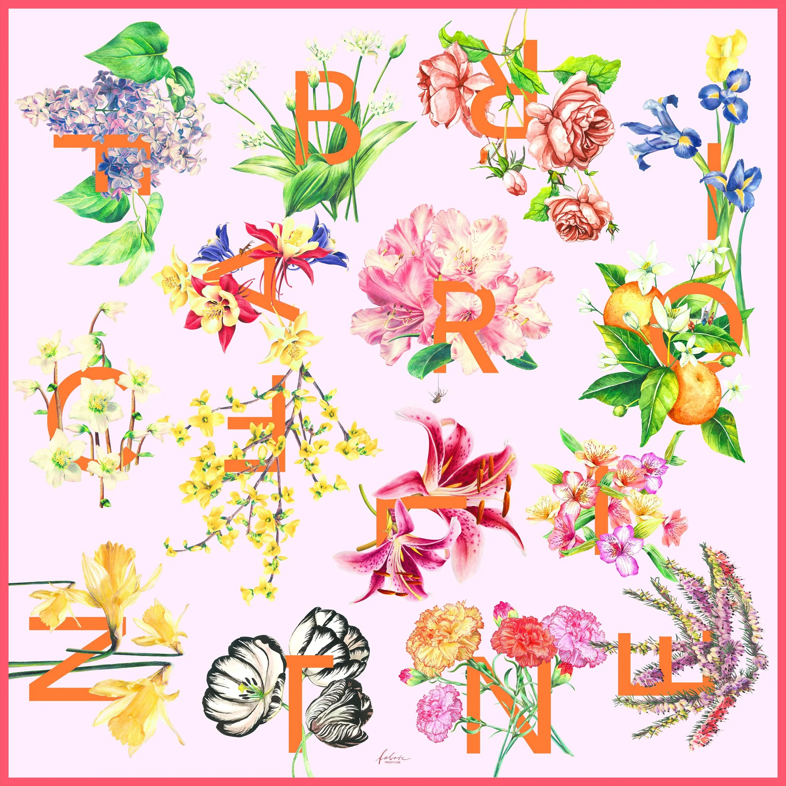 BLUMENALPHABET_0038_CONFETTO copy.jpg