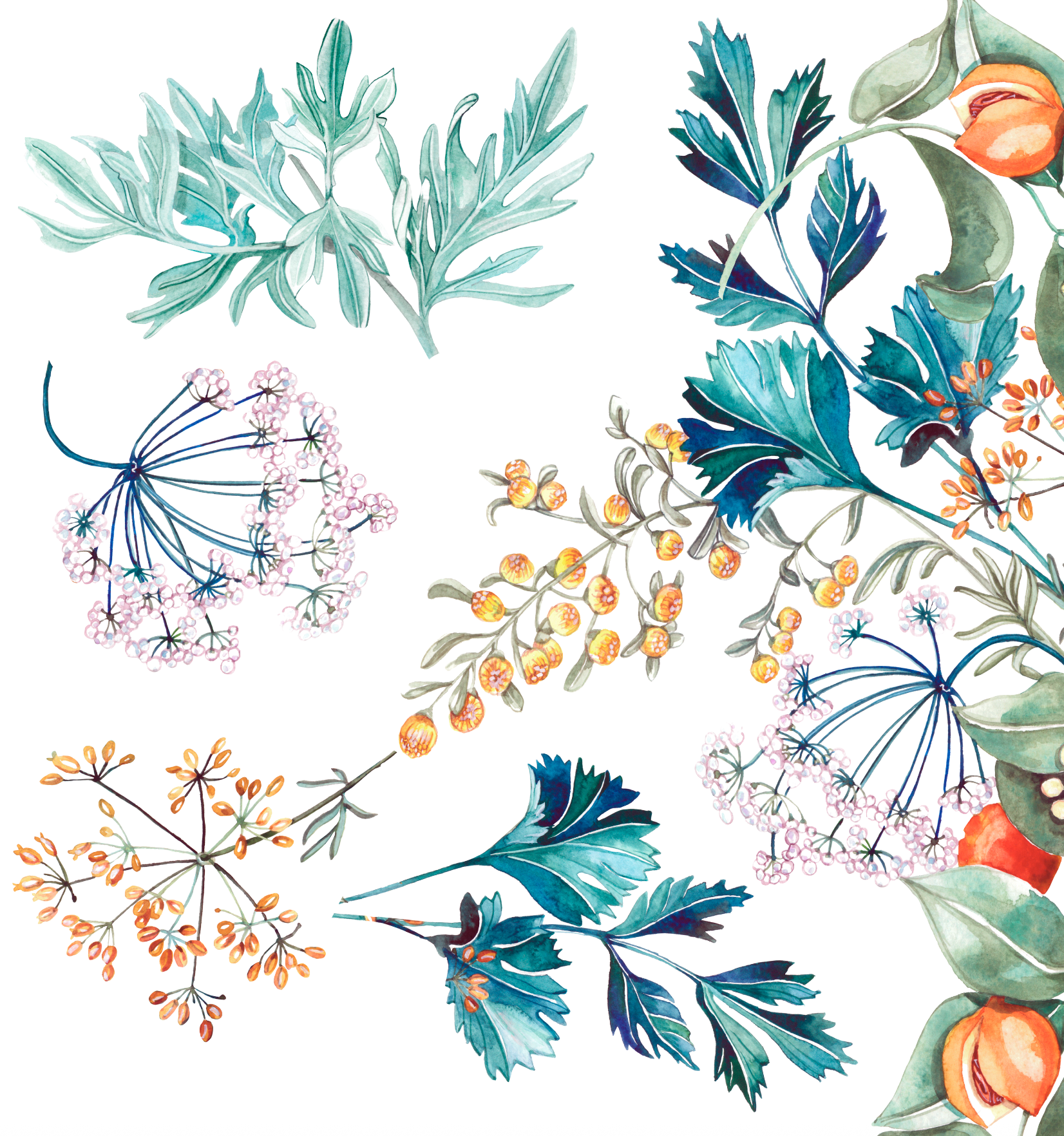 Screenshot 2026-03-15 at 12.12.26.png