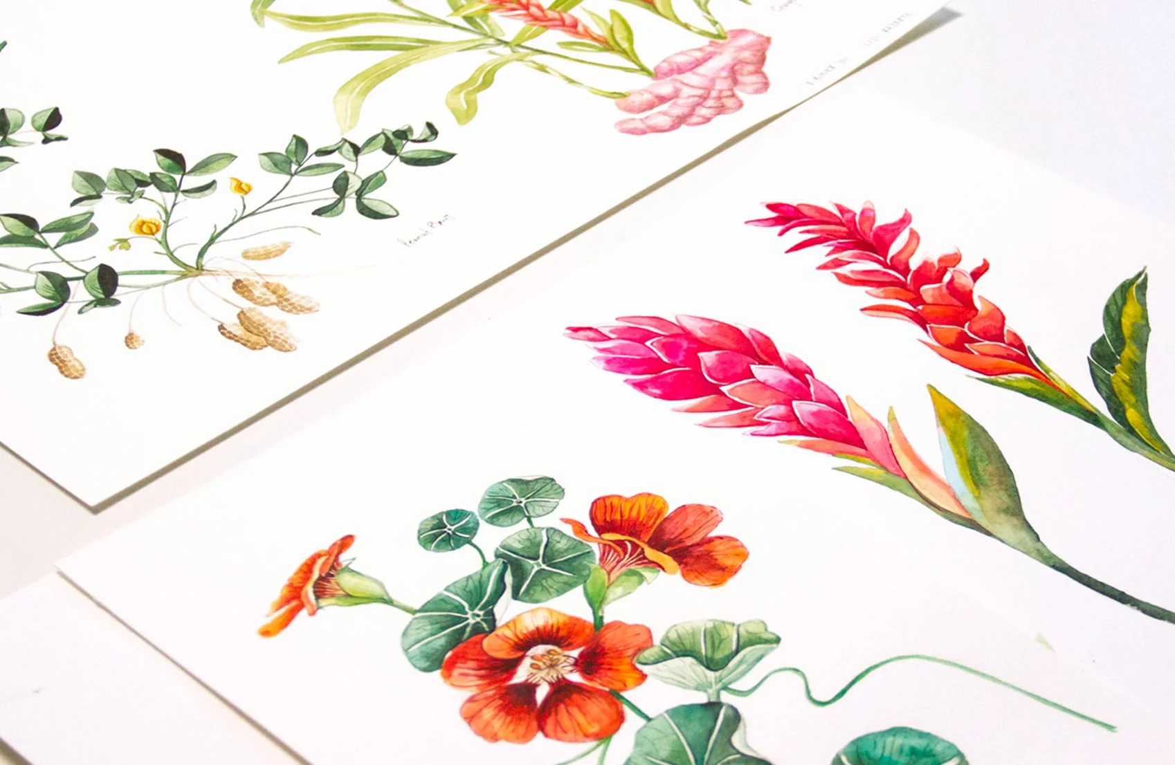 Gourmet Garden_02.jpg