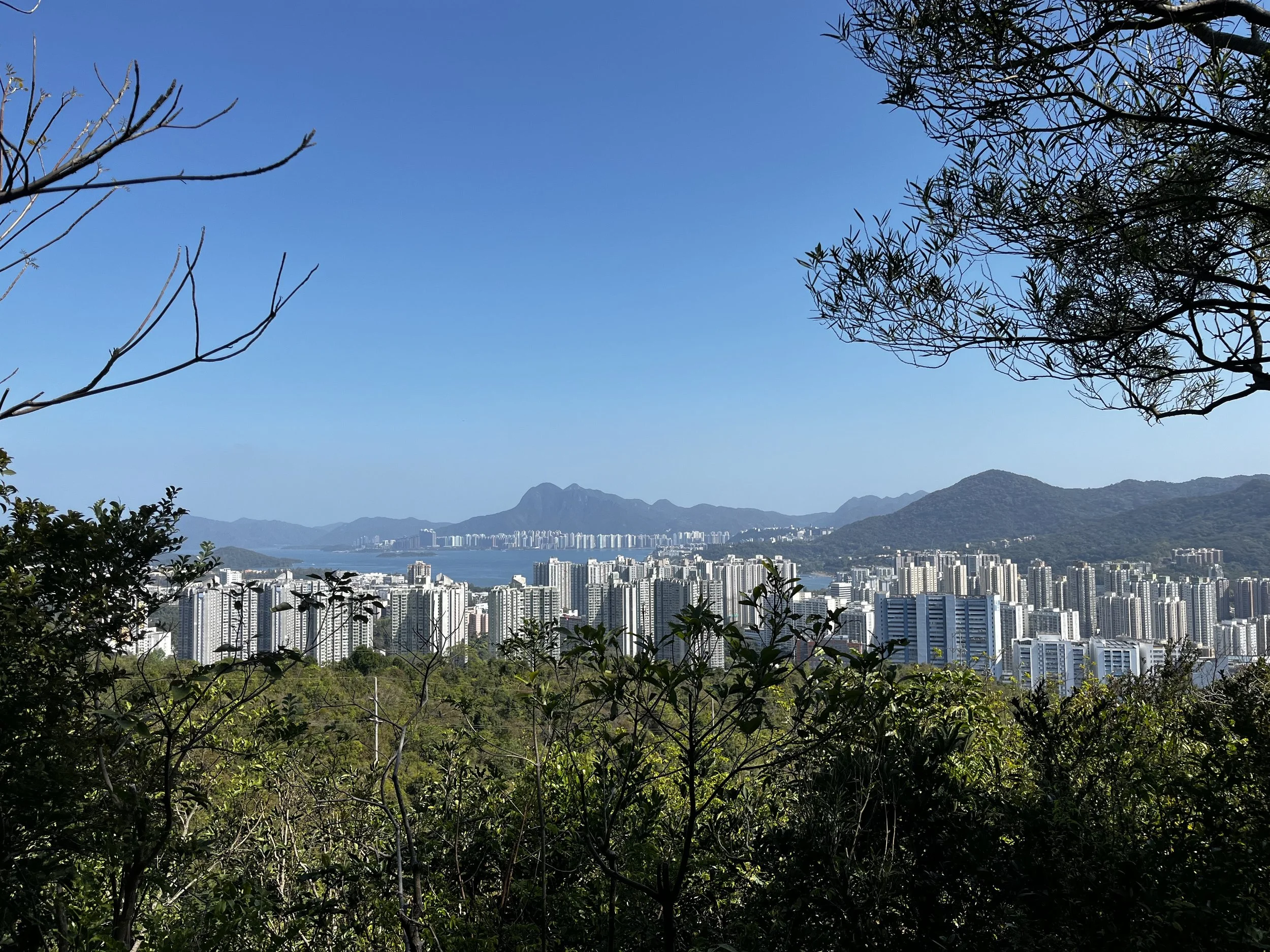 Hong Kong Mountain View