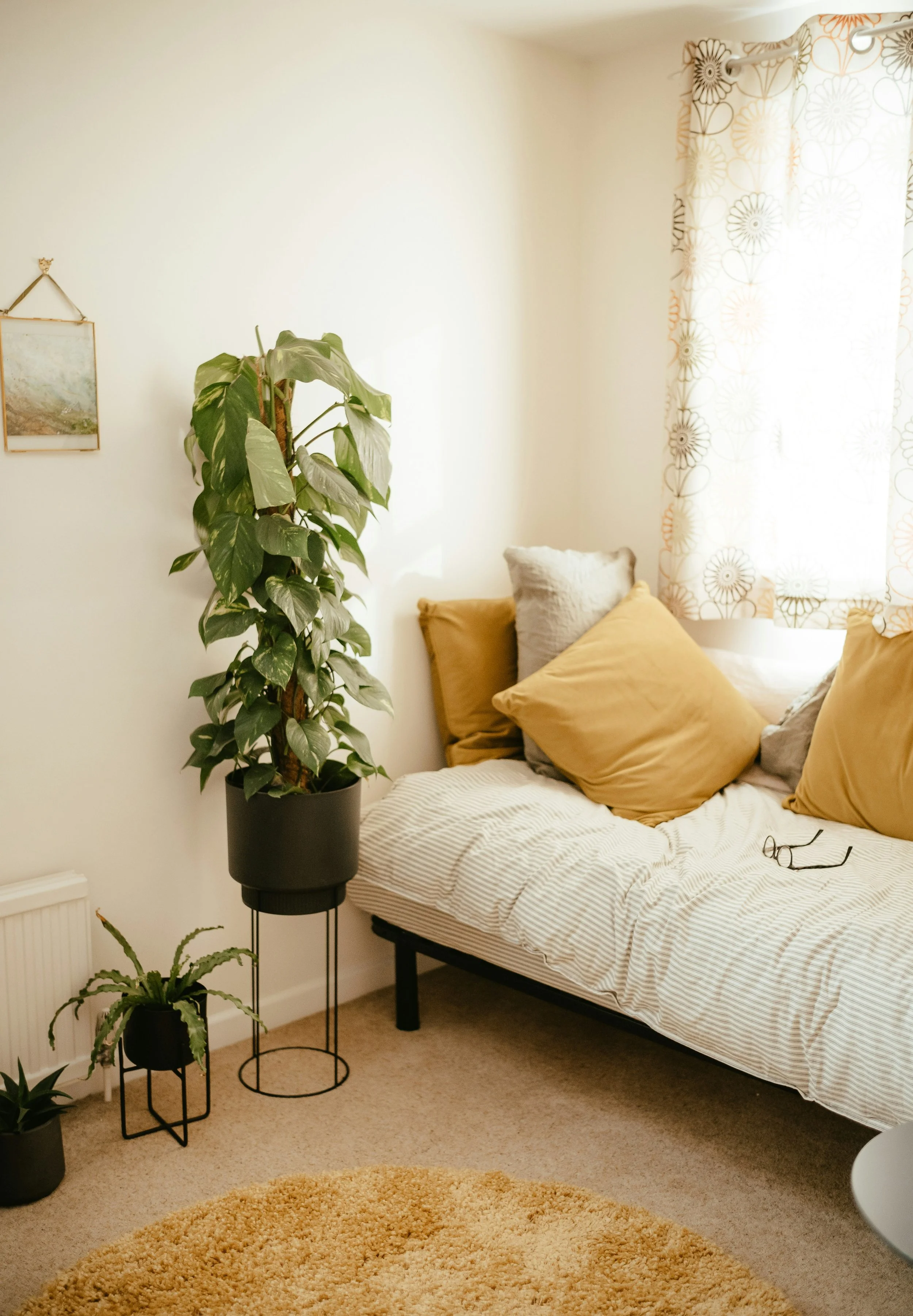 Feng Shui Living Space