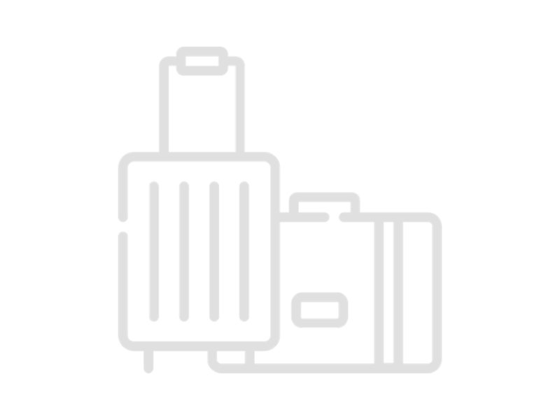 Luggage &amp; Travel Accessories