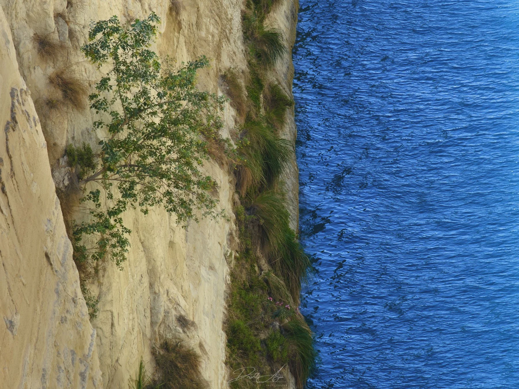 Original Image