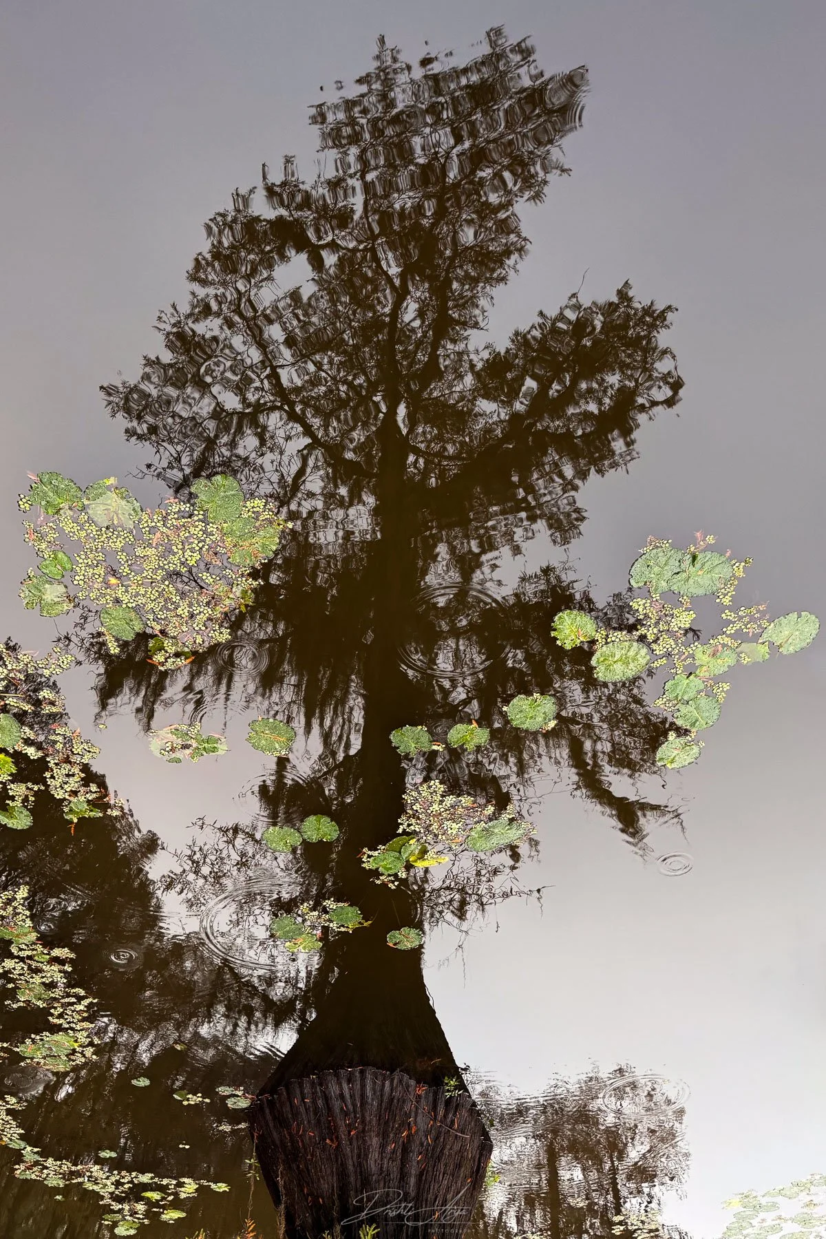 Final Image - Rotated 180° Clockwise