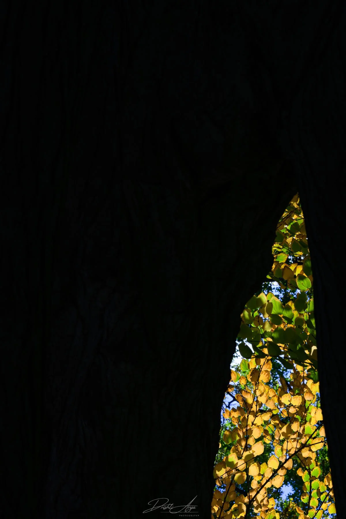 Final Image Rotated 180° Clockwise