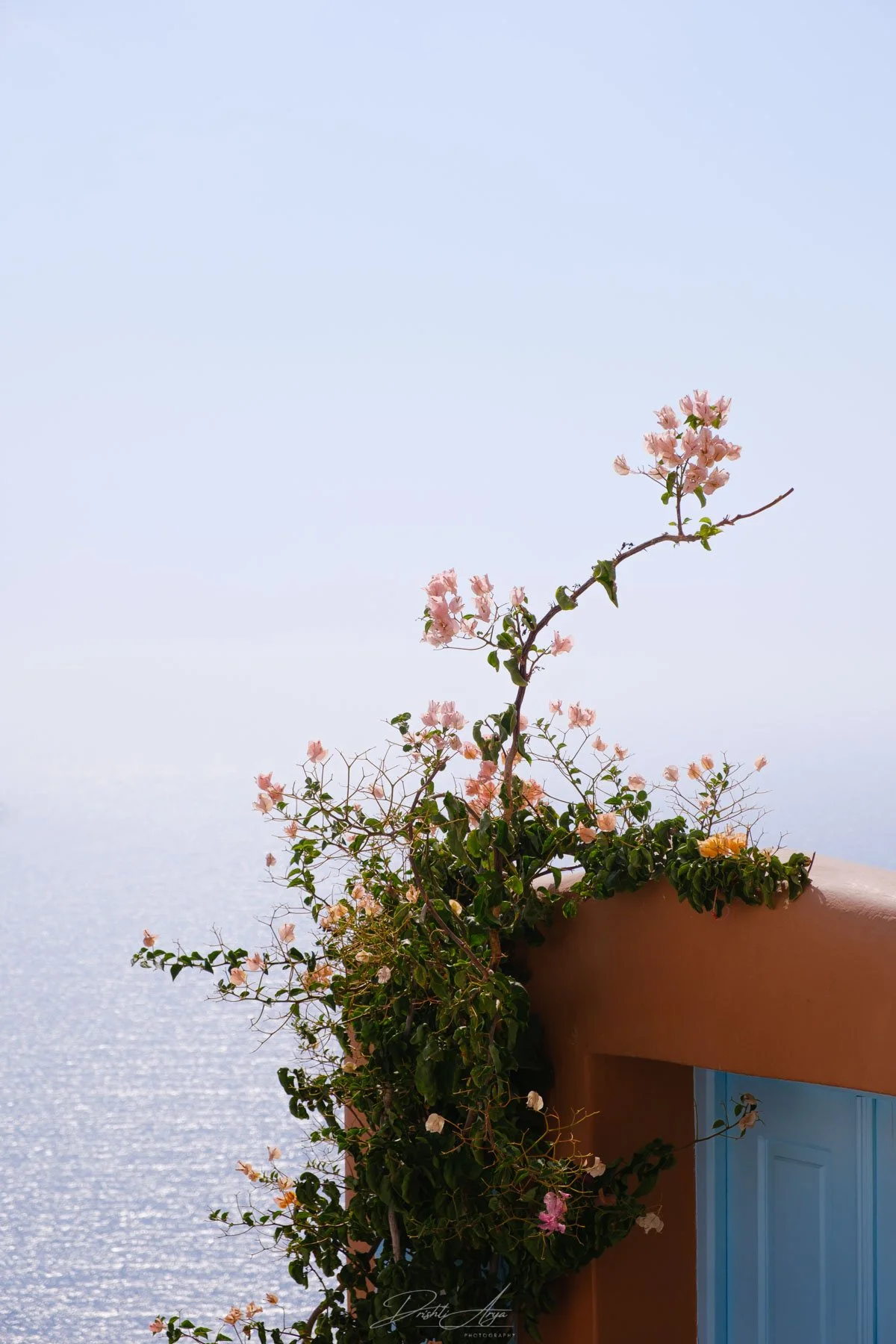 Reaching For The Sky