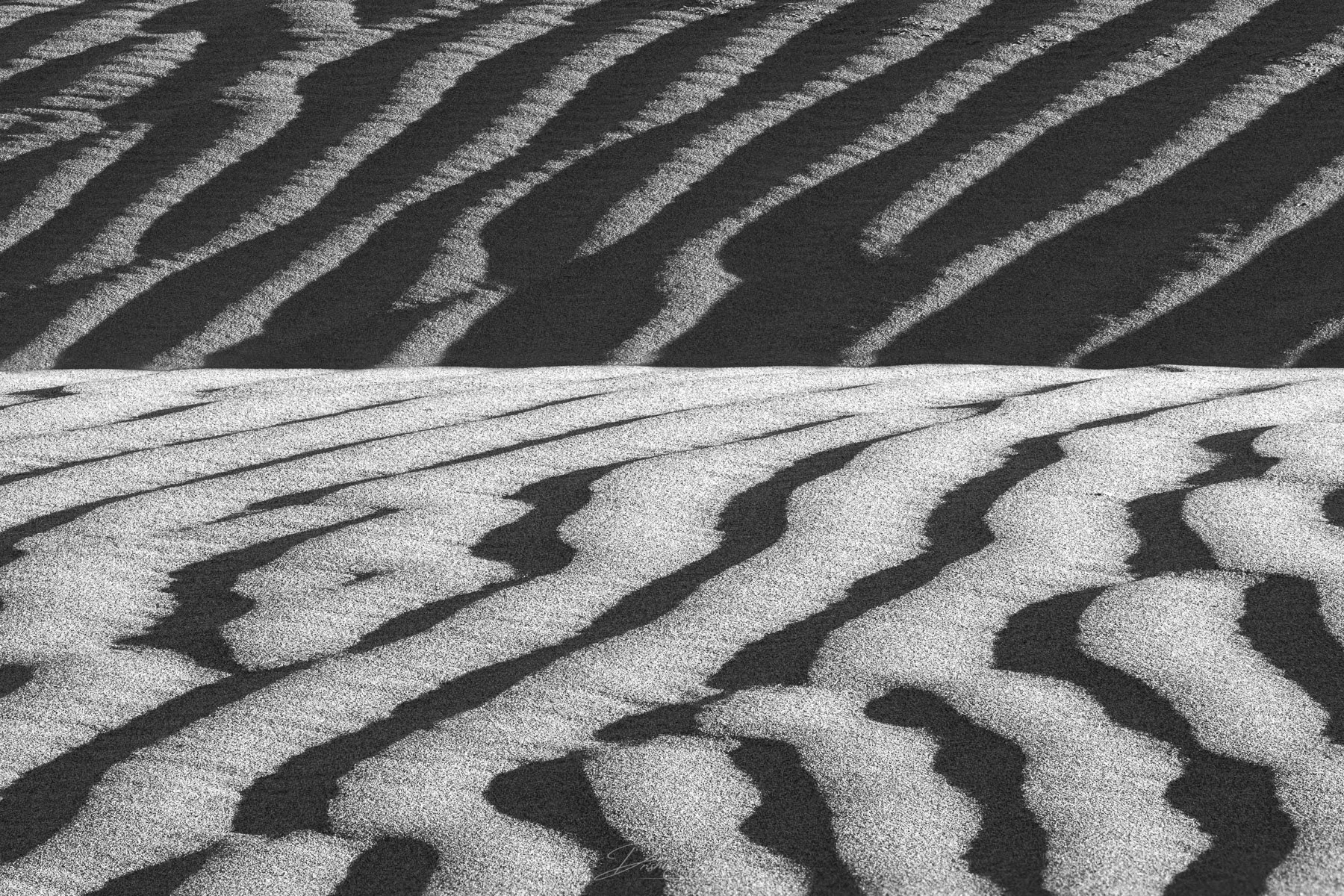 Light and Shadow