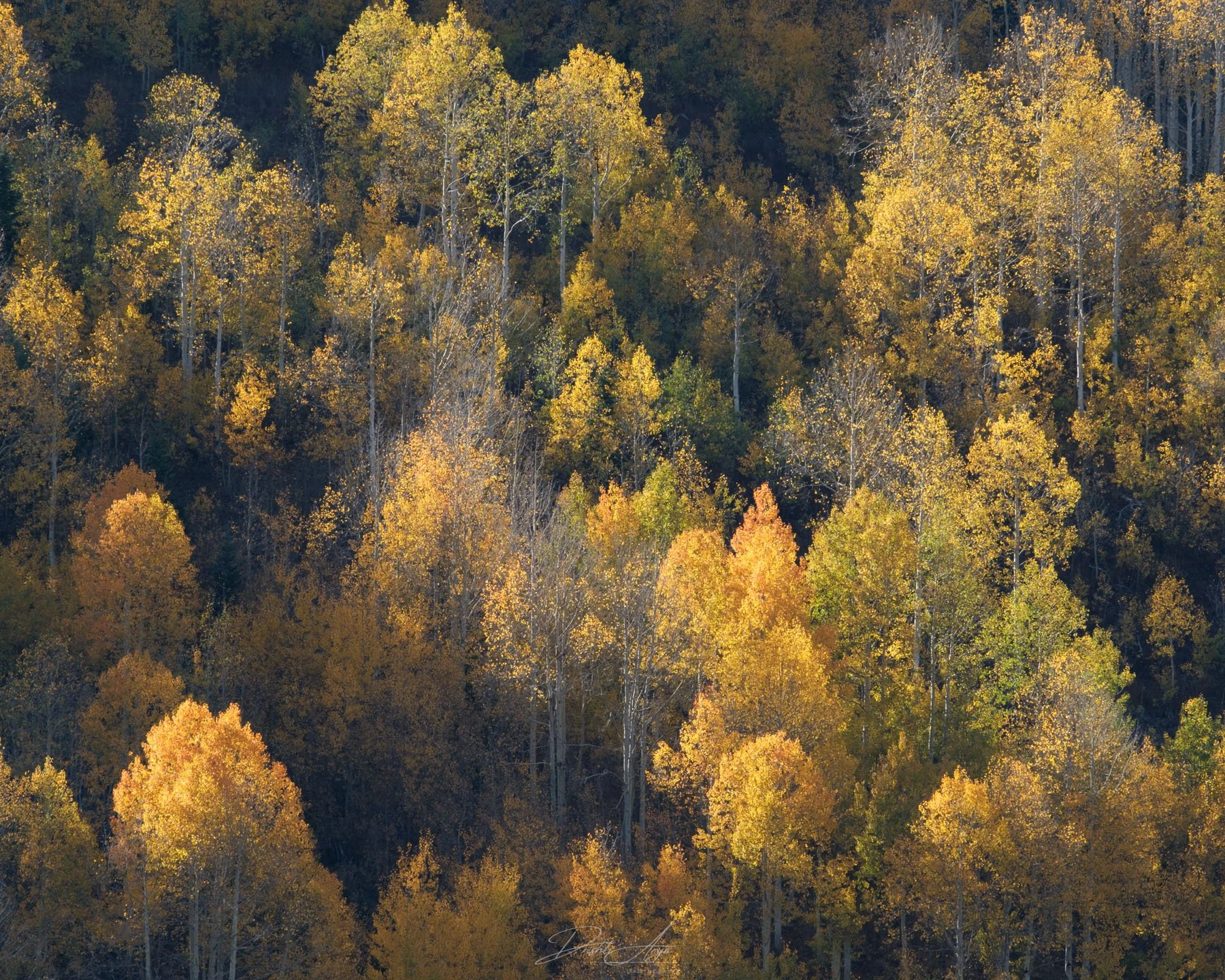 Some Of Us Aren't Ready For Winter