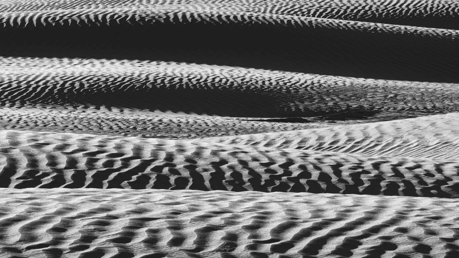 Zebra Dunes