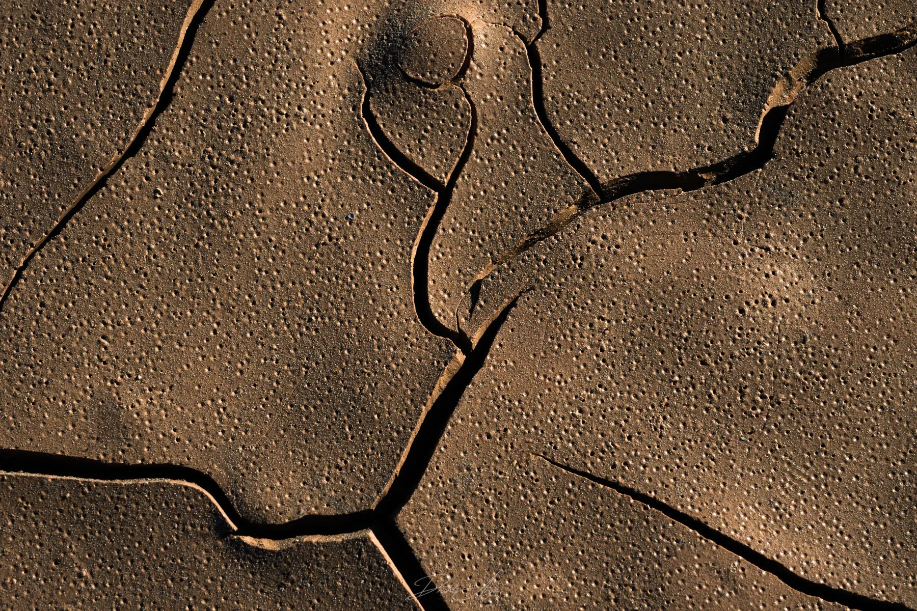 Rain Drops on Mud