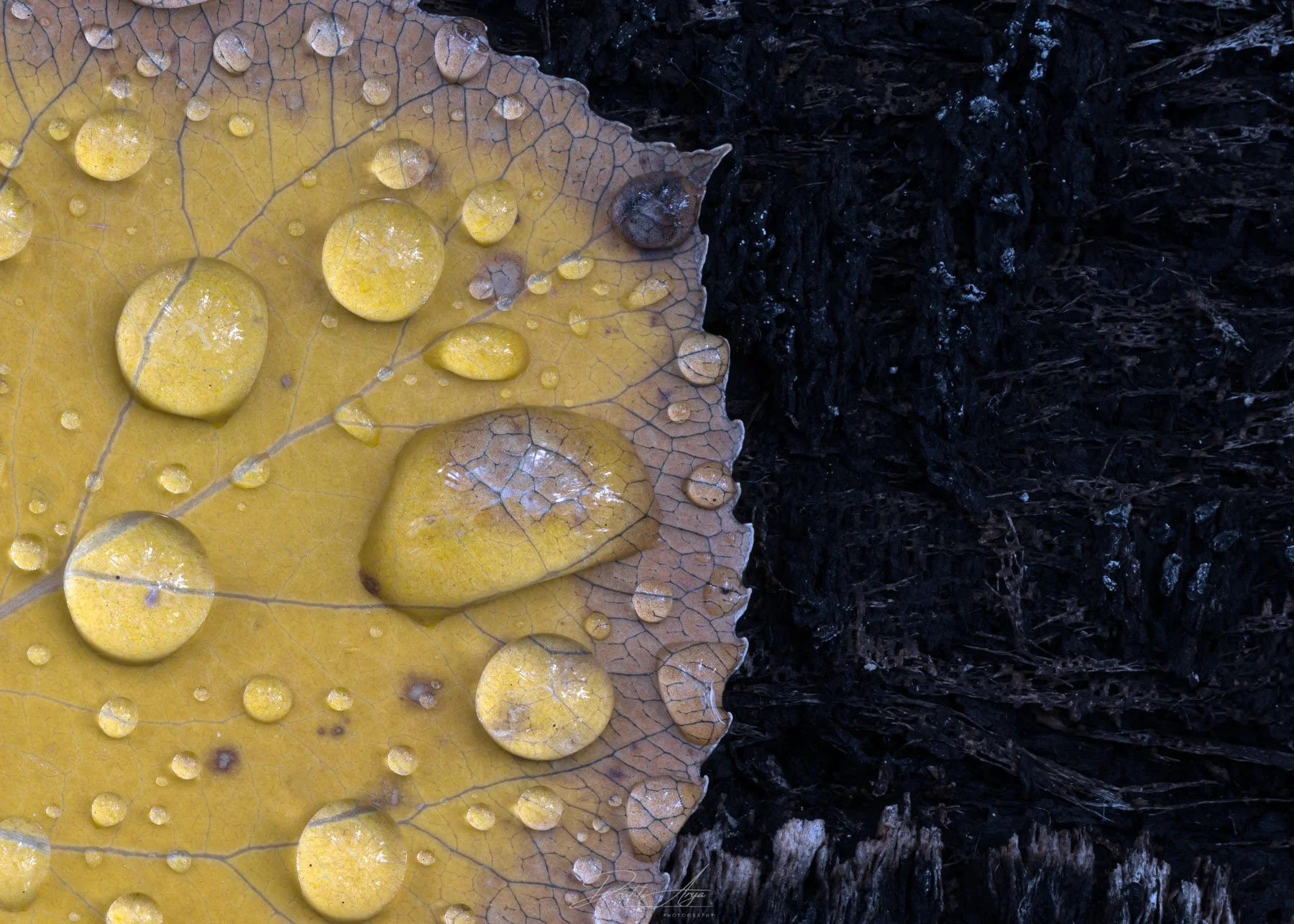 On The Brink Of Change