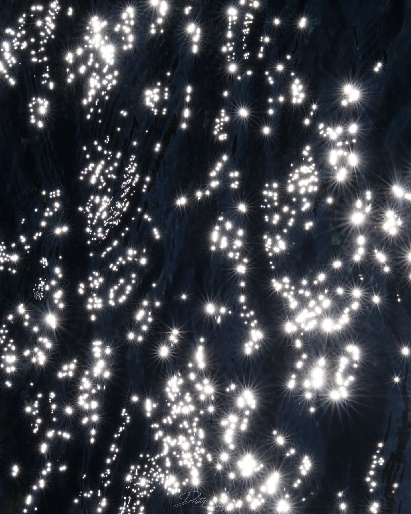 Stars Carried By The Tide