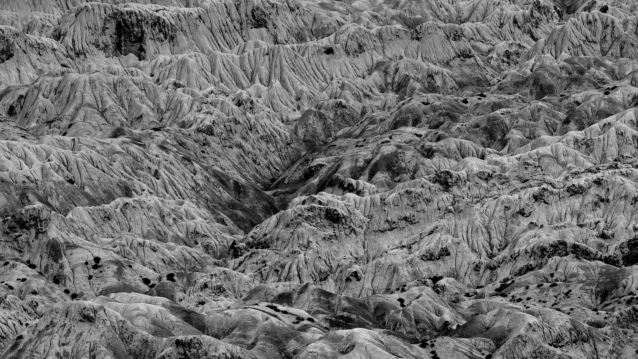 _0Z80696-Edit-1-copy.jpg