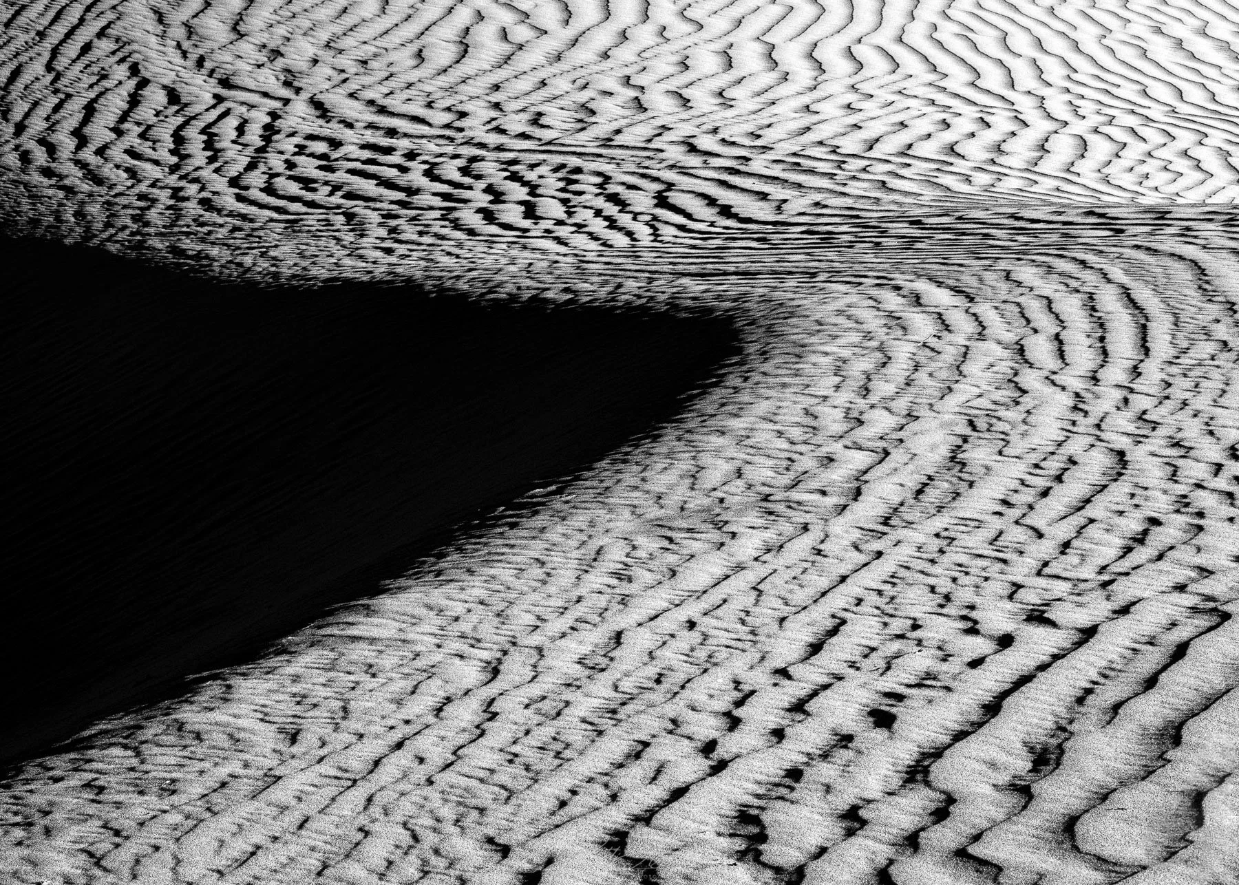 Dune Ripples