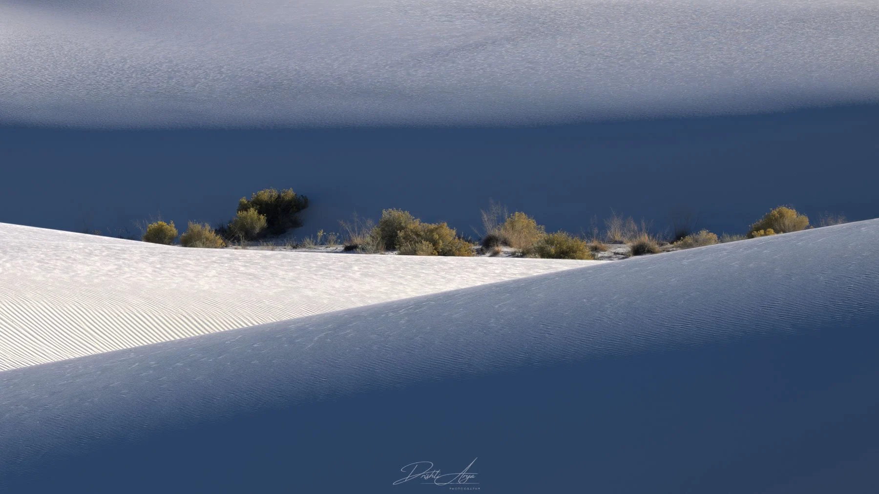 Plants of The Valley
