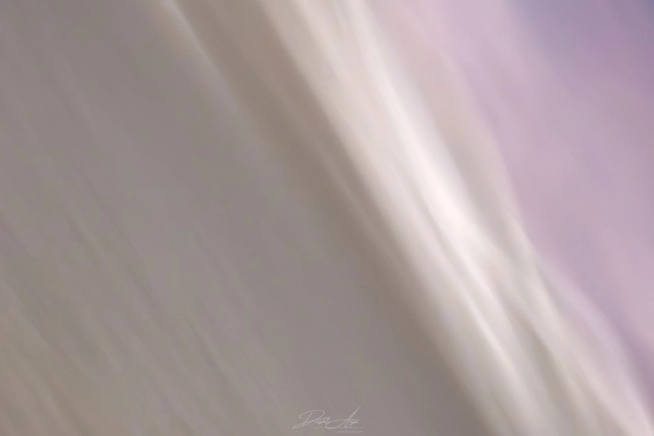 _0Z81301-1-copy.jpg