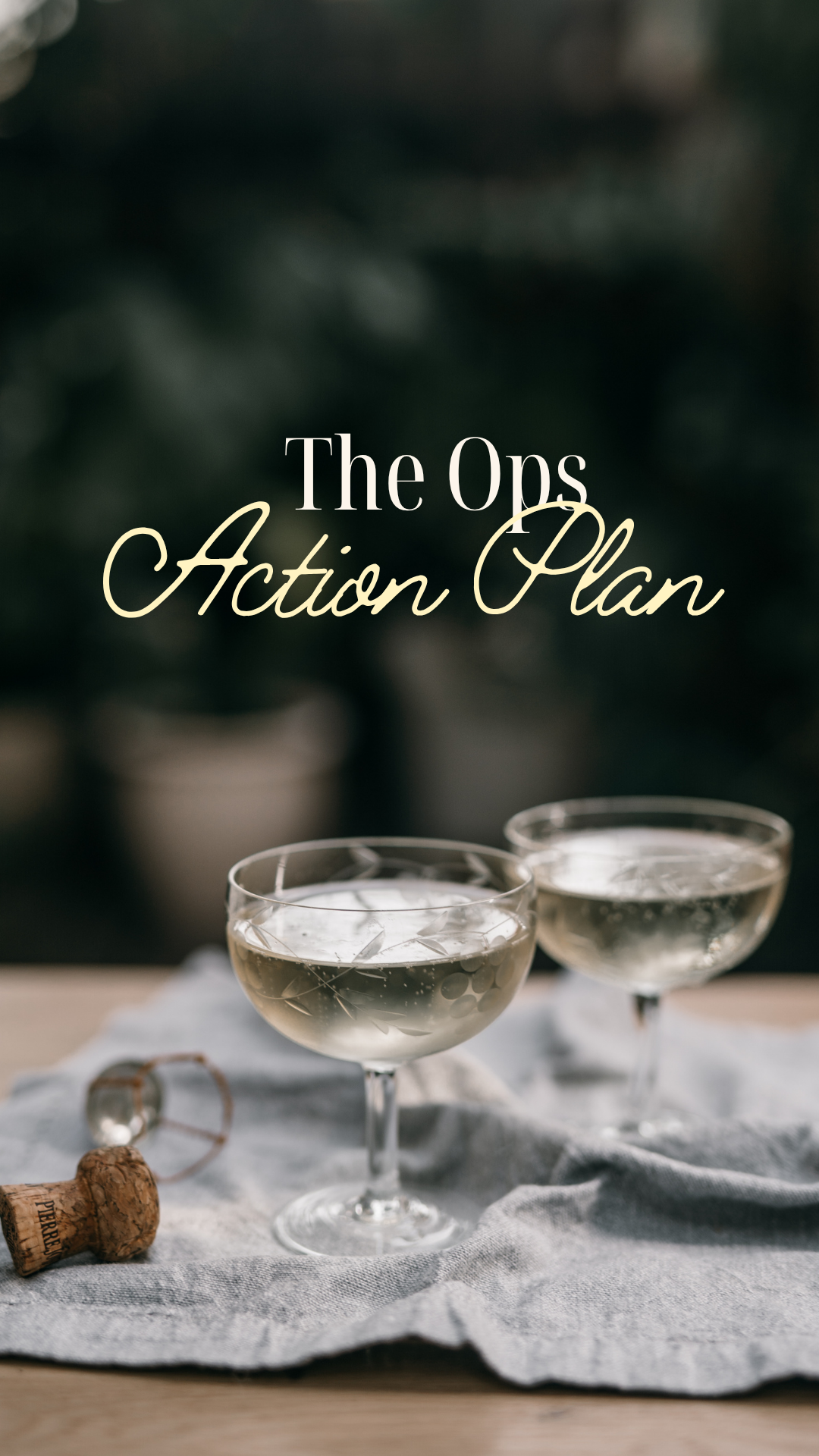 The Ops Action Plan