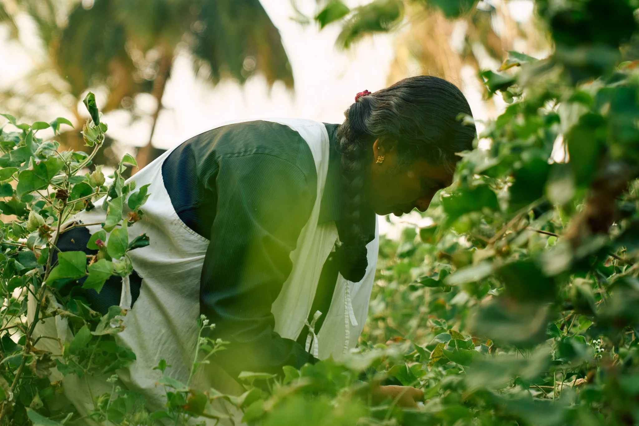  Food and Agriculture Organization of the United Nations reports that women in cotton face disproportionate barriers in access to land, inputs, finance, training, services, and decision-making, which limits how much they benefit from the value chain 