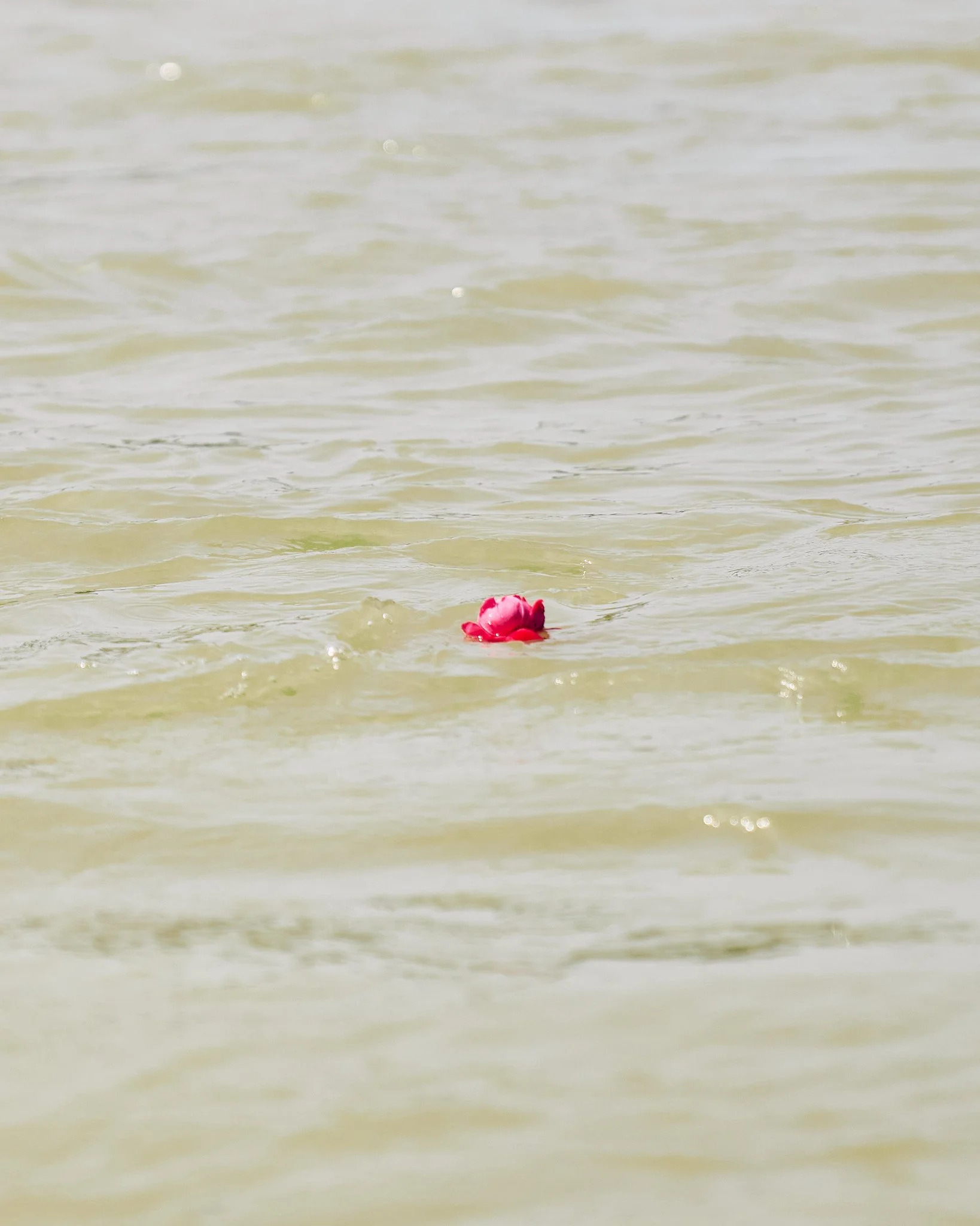 Rishikesh 0525_ACS09628.jpg