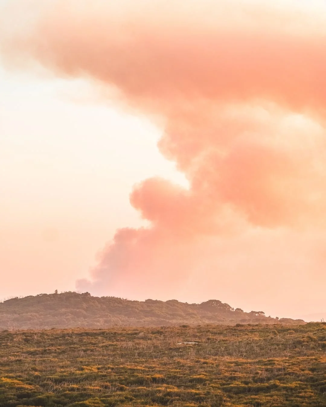 How lucky are we in Kurnell 🌊

Wouldn&rsquo;t want to be anywhere else 💛. 

#kurnell #kamaynationalpark #capesolander #botanybay