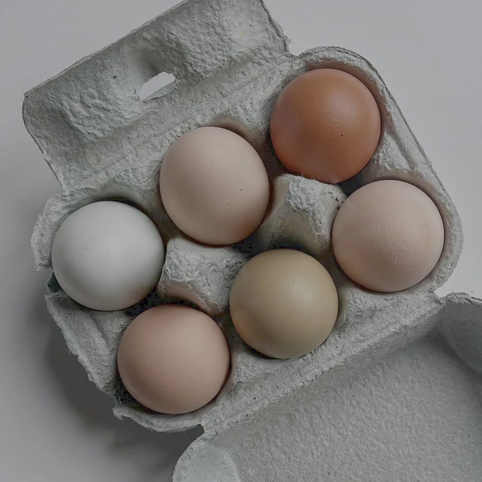 6 Special Eggs - £2.50