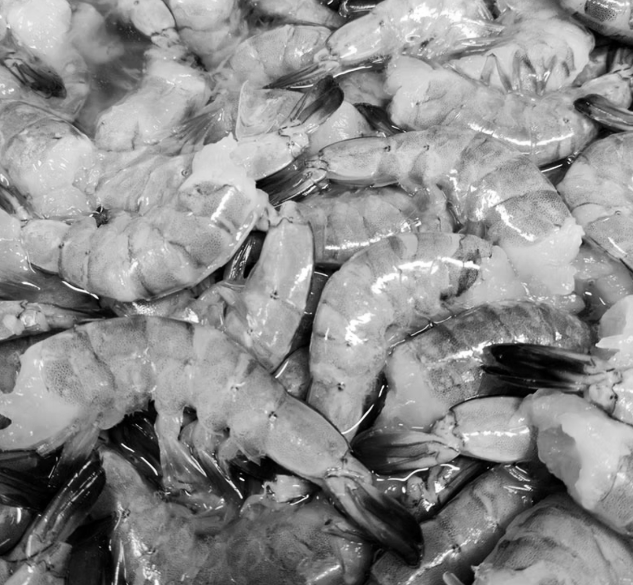 ADD ON: Shrimp