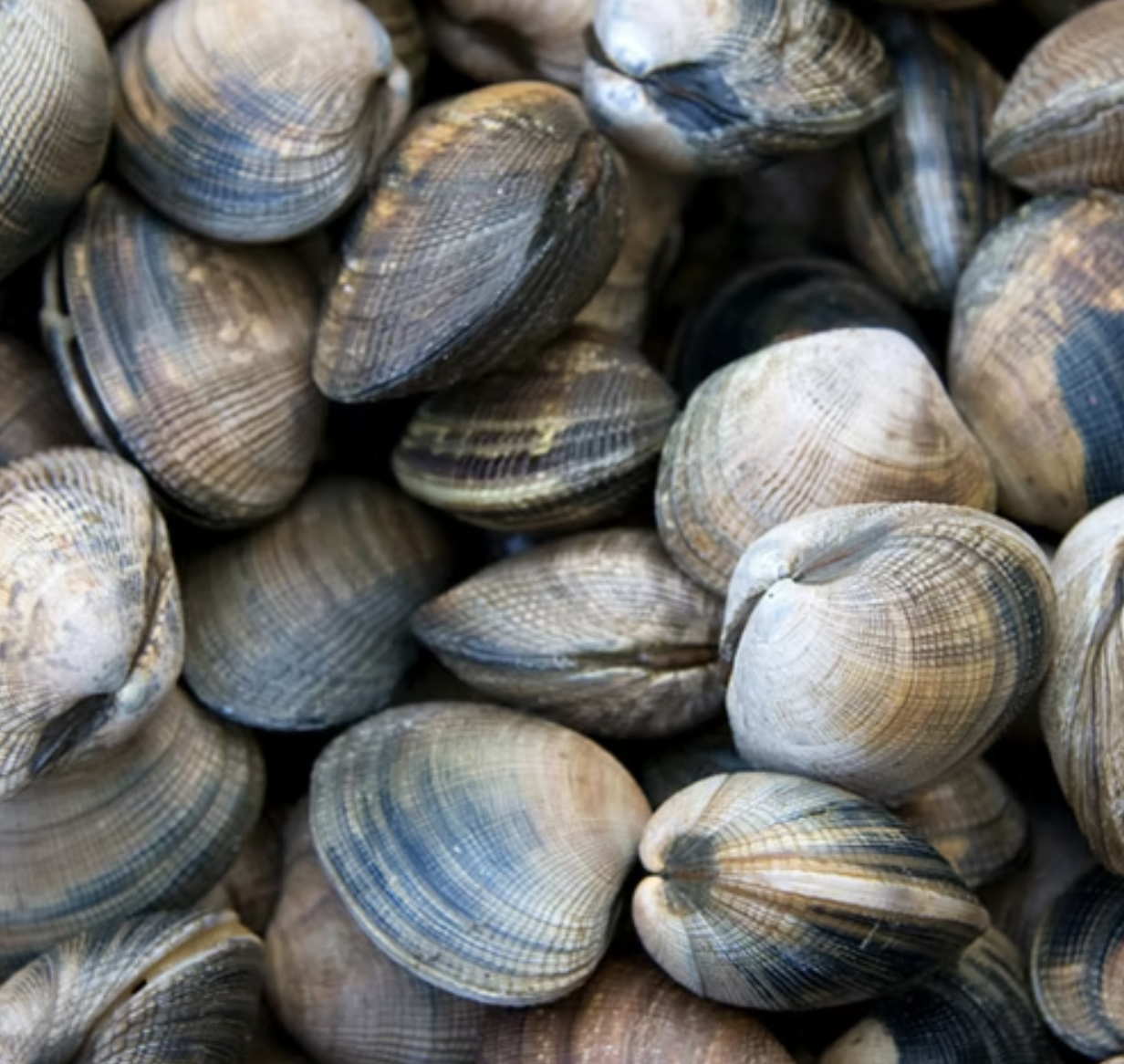 Add on: Manila Clams