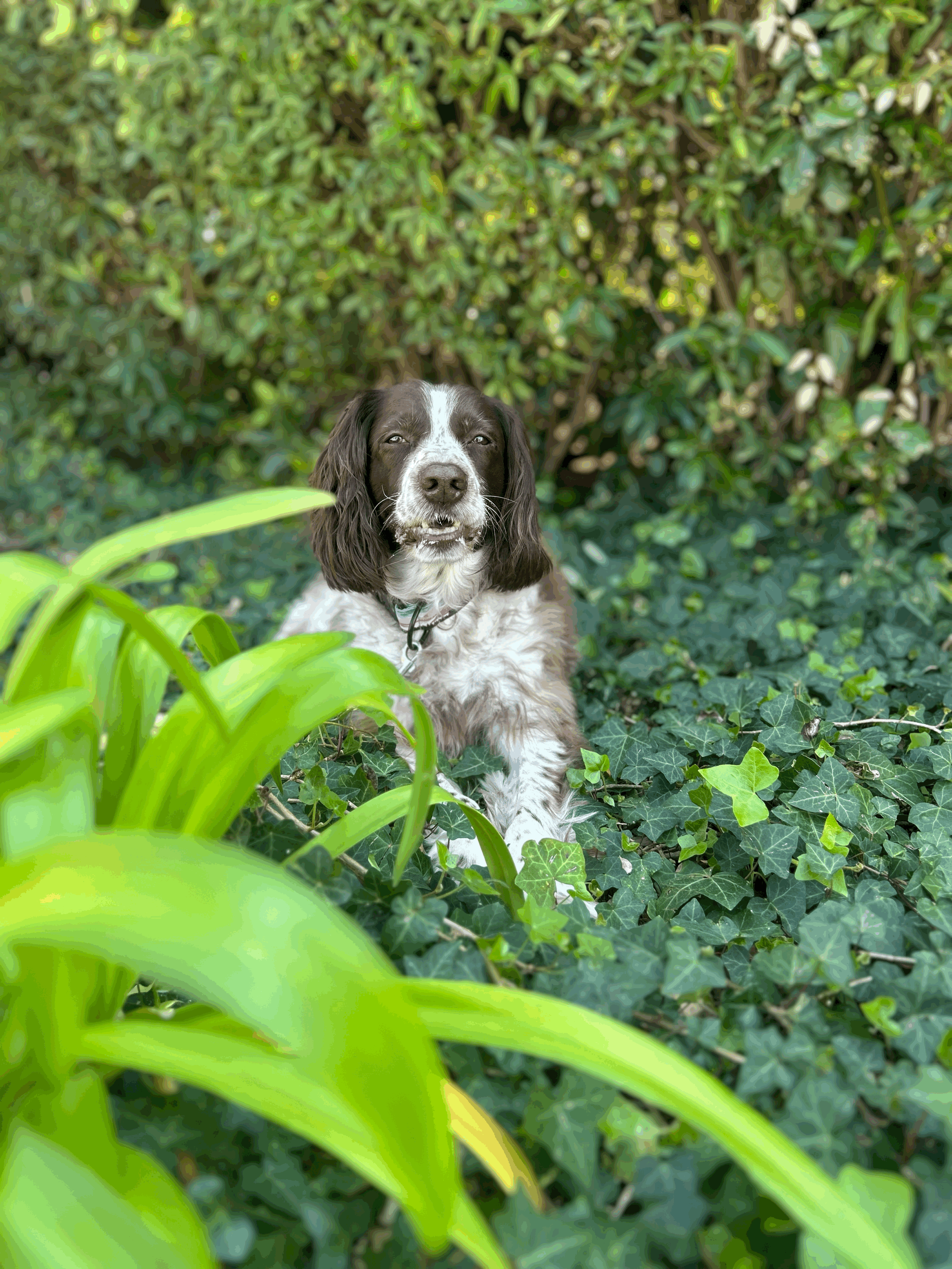 Tu penses qu’il est dominant ?