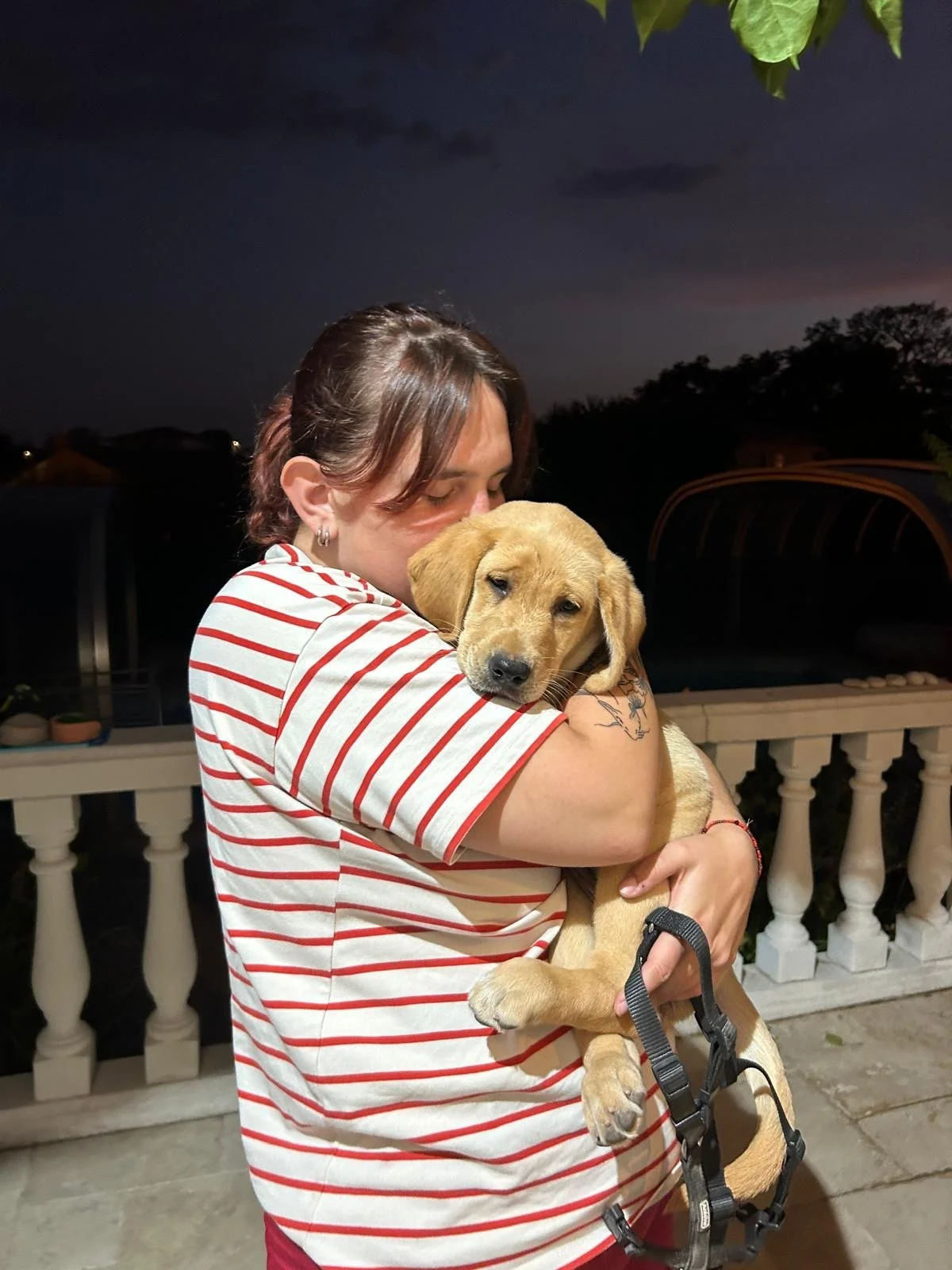 Les premières semaines avec votre chiot à Marseille : pourquoi elles comptent vraiment (et comment ne pas les rater)