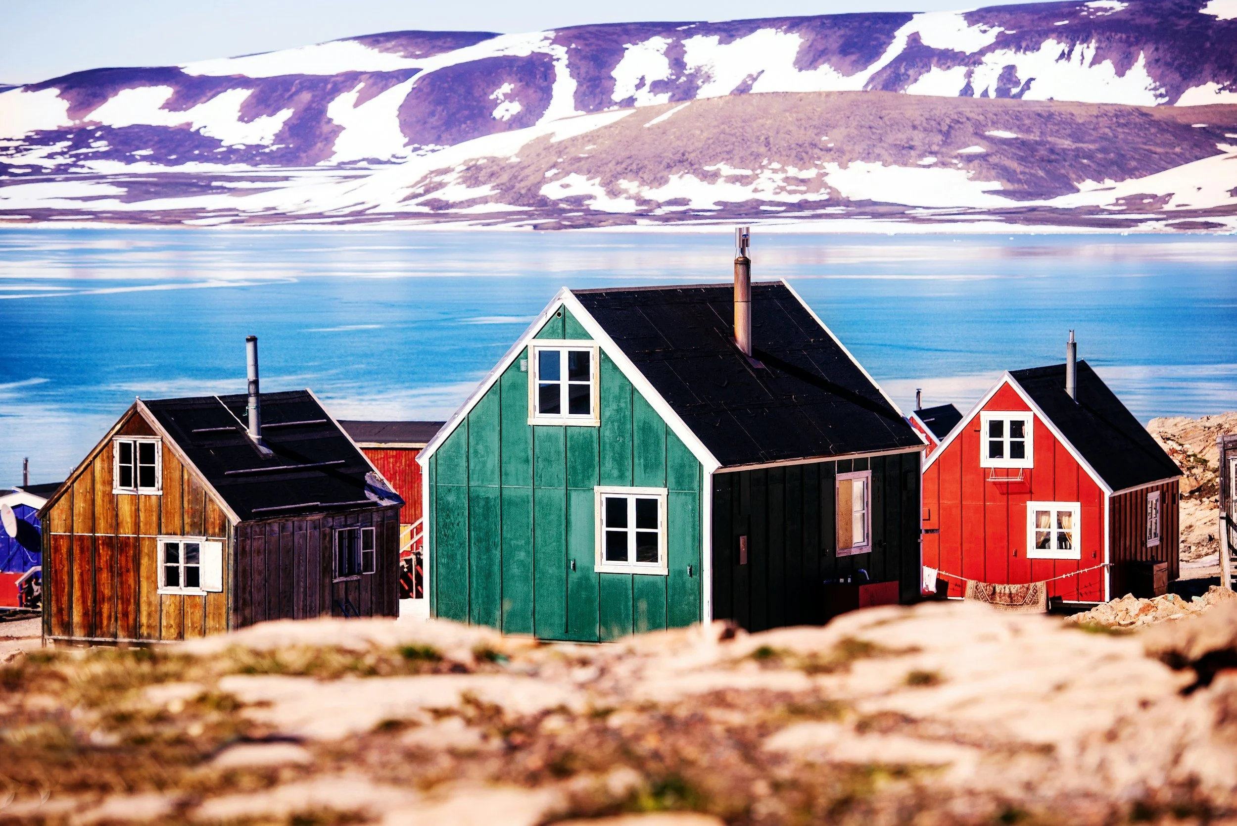 Colorful houses with black roofs in a coastal village, with snow-covered mountains in the background and a bright blue sky.
