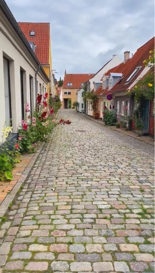 hestevognskørsel i Faaborgs gader