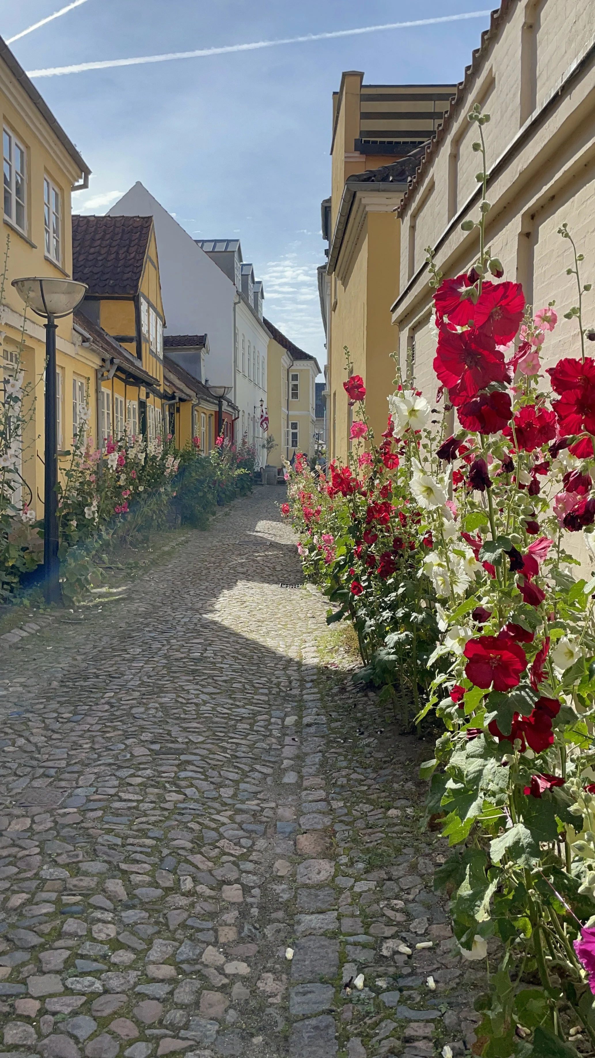 A cobblestone street lined with colorful buildings and blooming flowers on the right side, with a clear blue sky overhead.