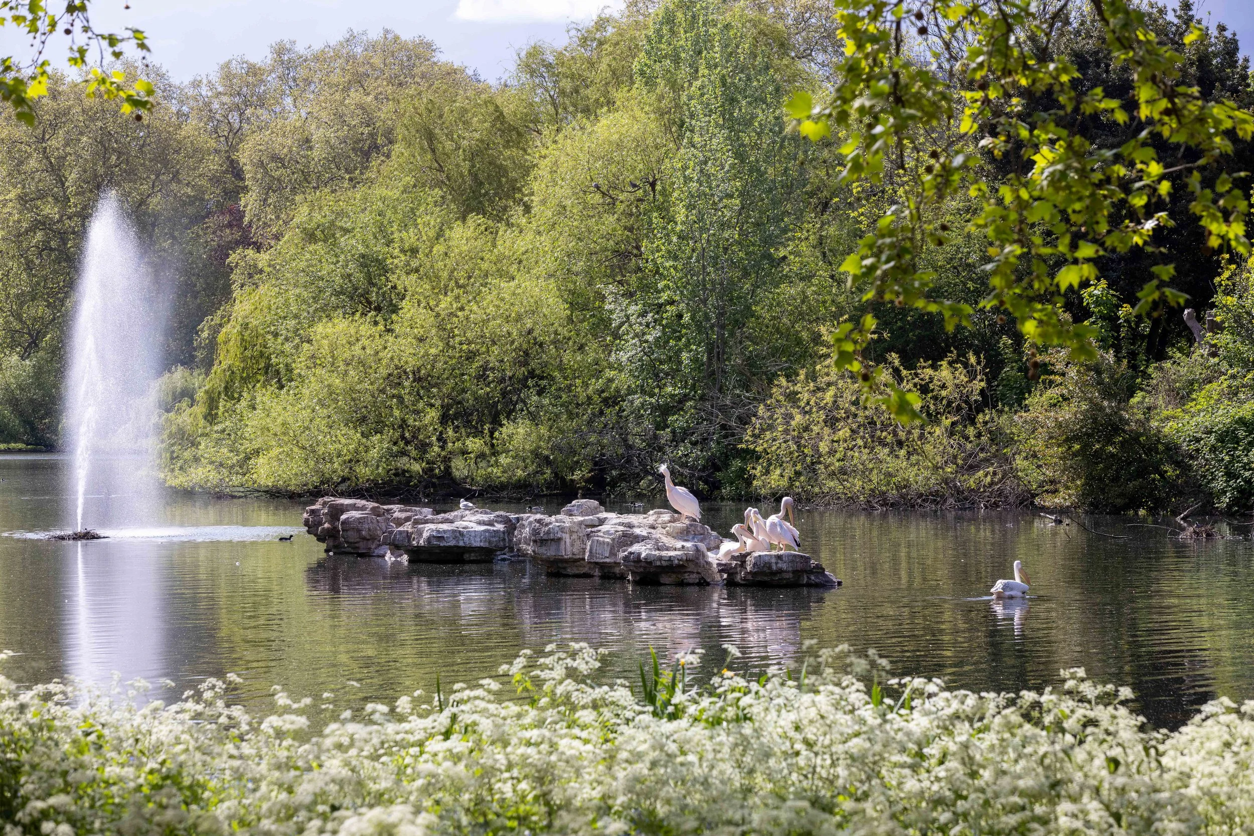 Buckingham Palace Road -183.jpg