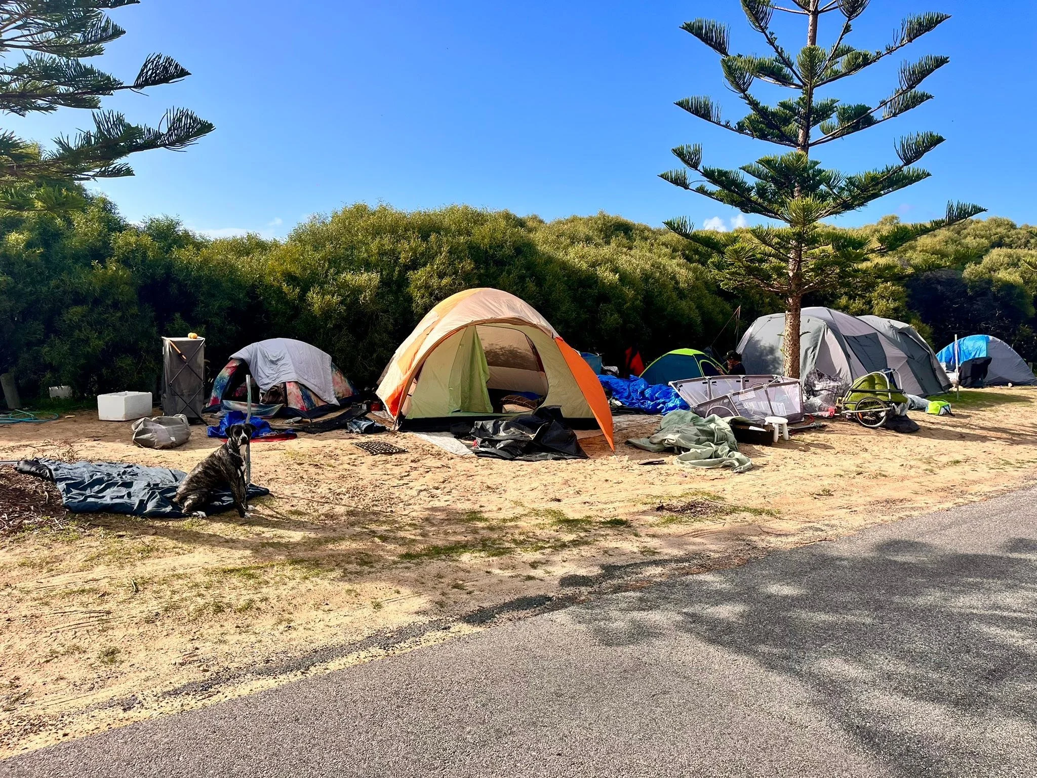 "I Got The Shock Of My Life": The Hidden Human Crisis in Rockingham's Bushland