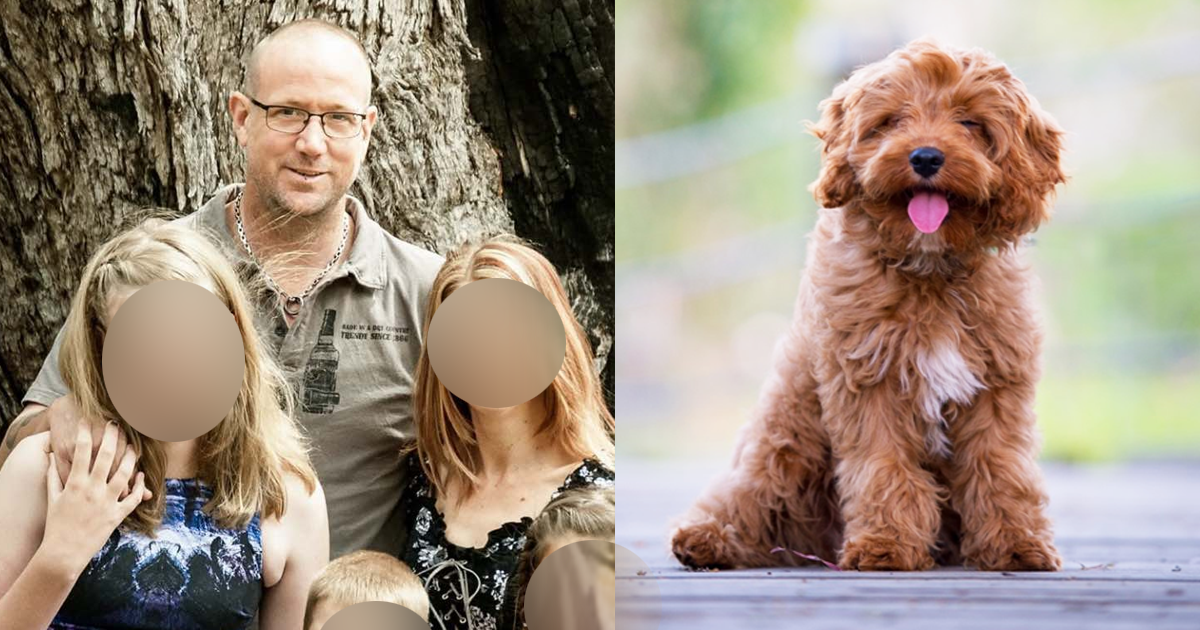 Baldivis Animal Abuse: Community Outrage as Man Fined Just $3,000 Over Dog’s Tragic Death