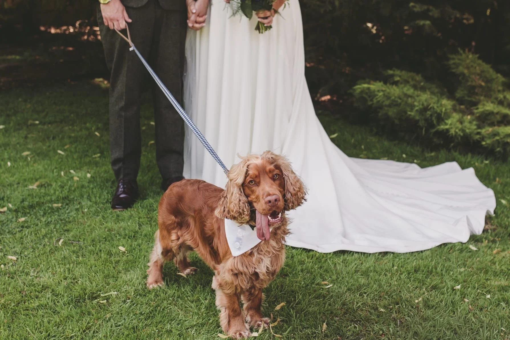 How to Include Your Dog in Your Wedding: 9 Ideas for Your Big Day