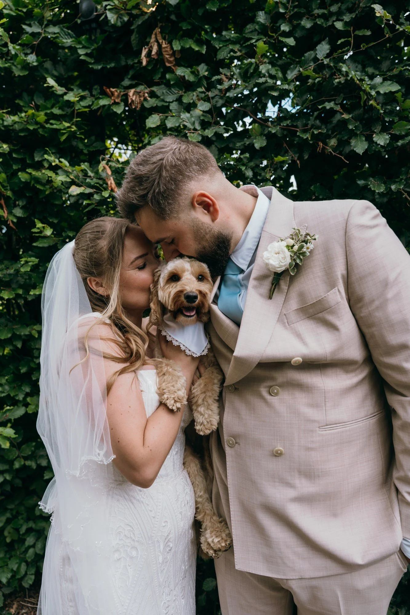 Why Hire a Wedding Dog Chaperone? 7 Reasons to Have Your Dog at Your Wedding