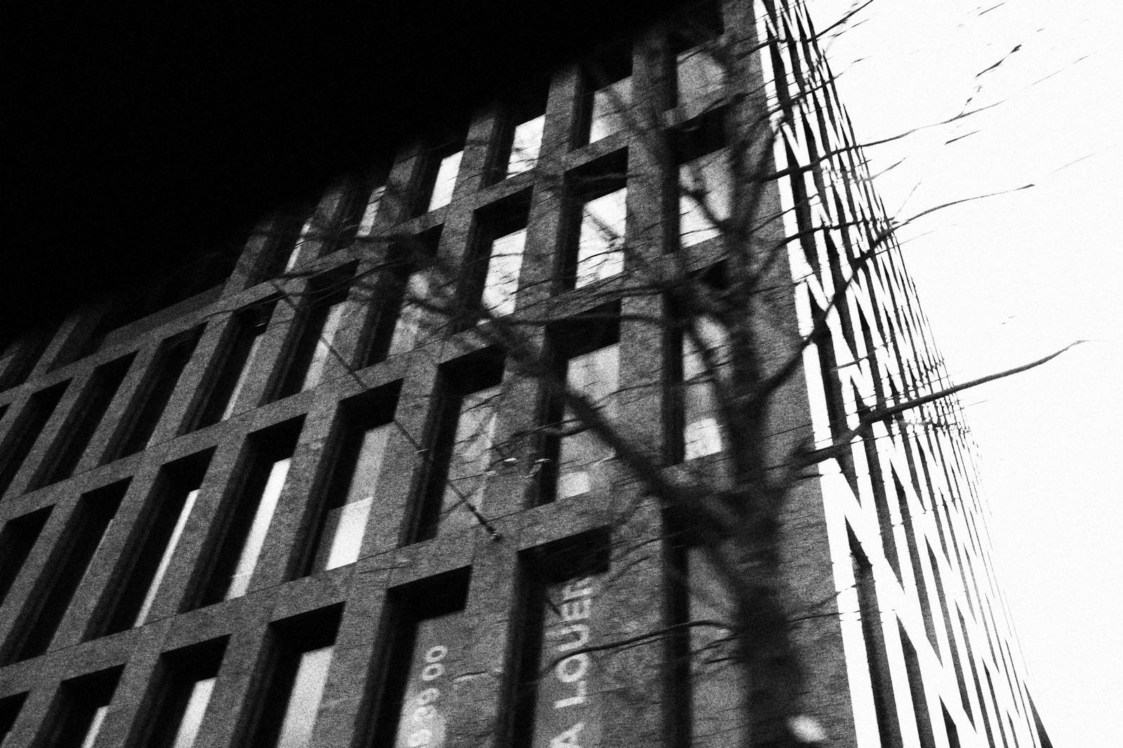 1fd91729-ff89-4485-8188-647488e06f9c_rw_1920 2.JPEG