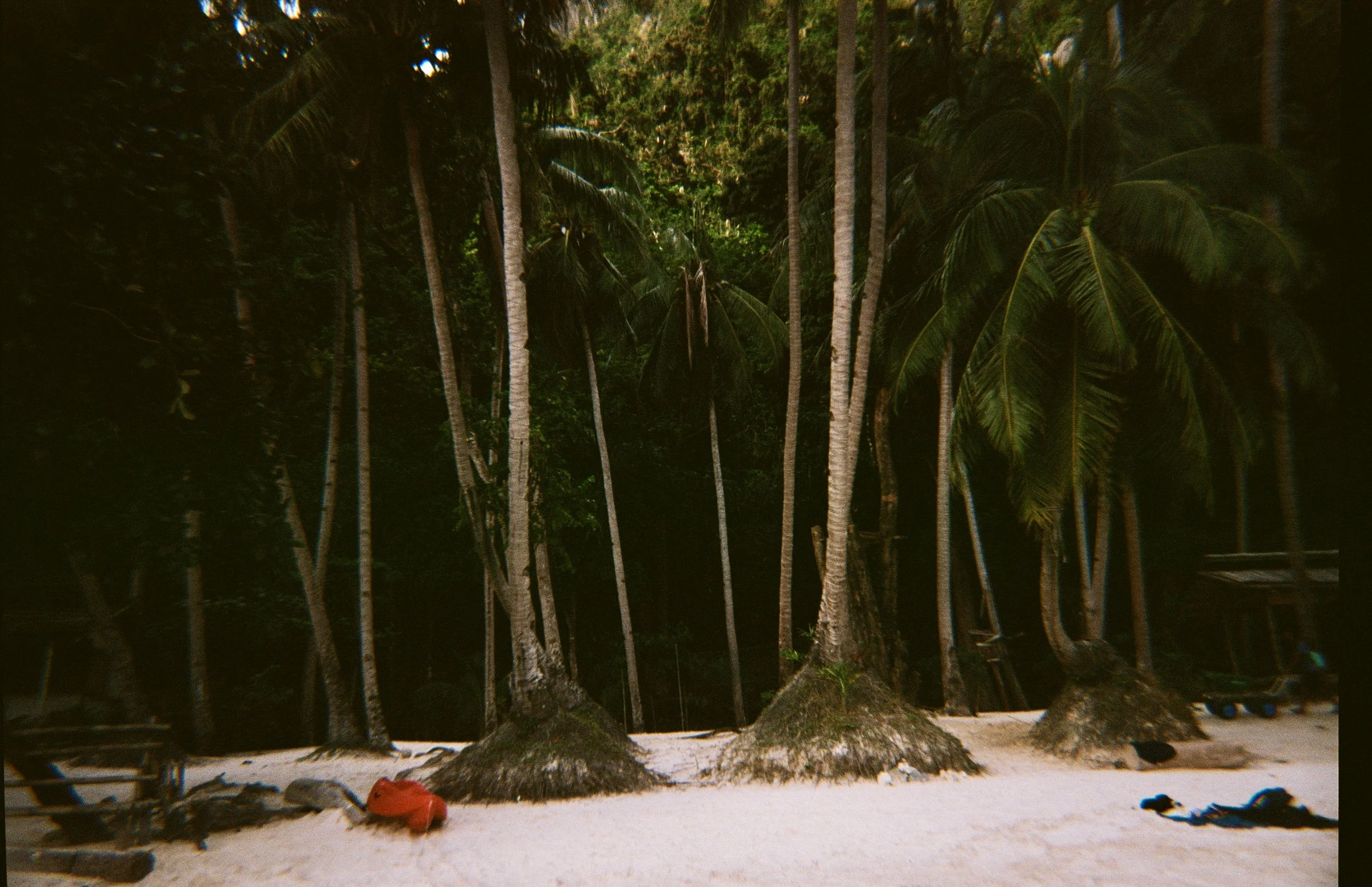 2026-02-01 20-40-17_1750.jpg