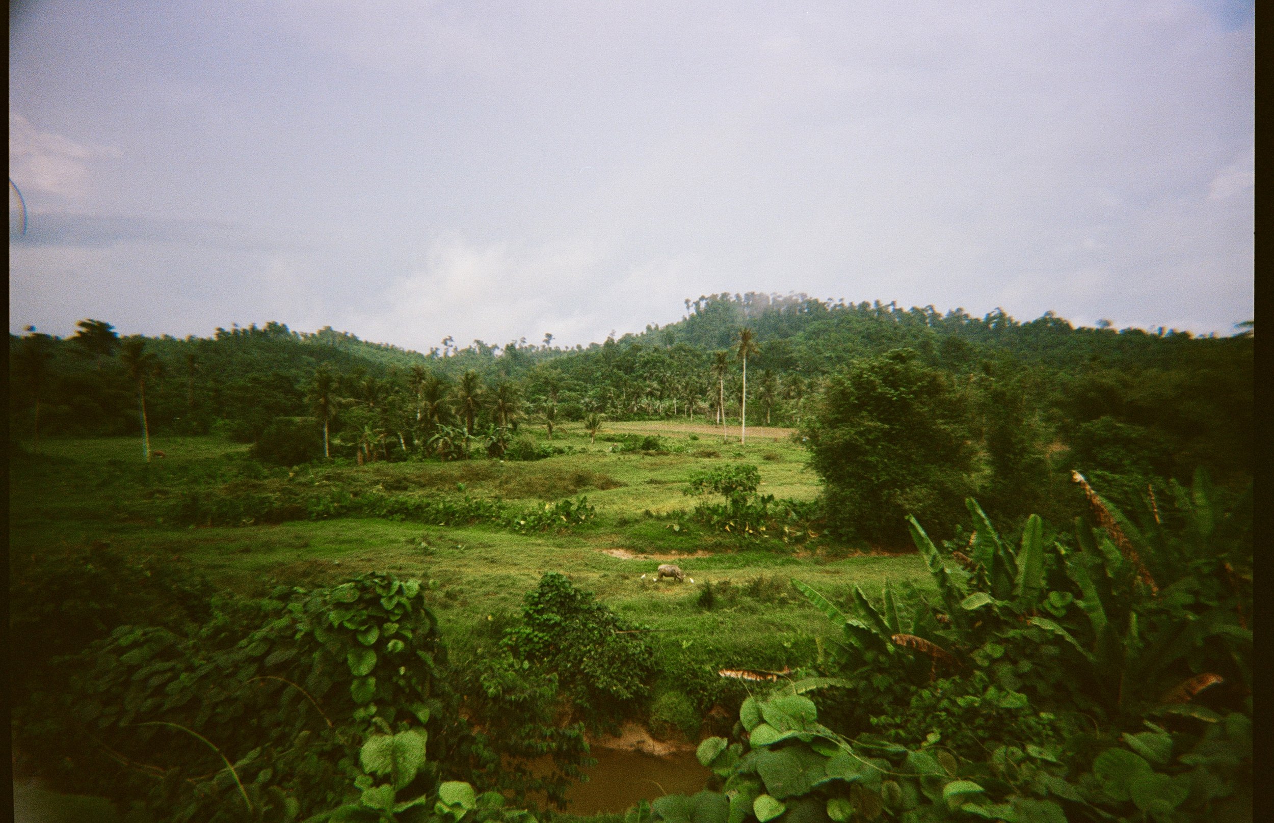 2026-02-01 20-40-26_1753.jpg