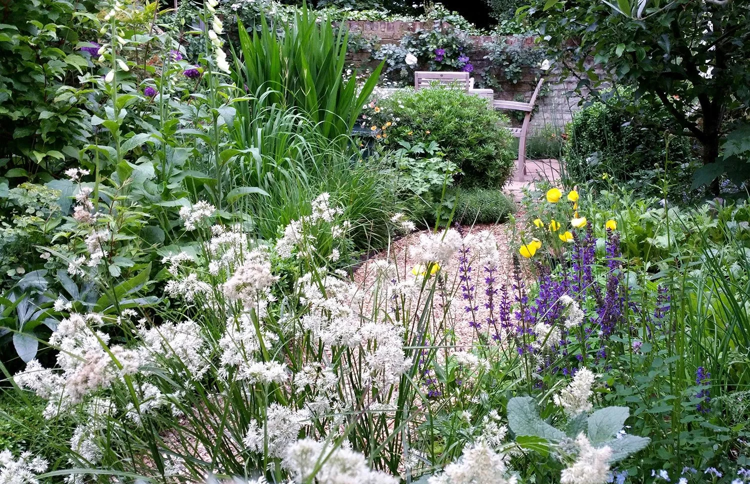 Weiße Hainsimse Luzula nivea mit Stauden und Gehölzen und Gartenmöbeln im Hintergrund.