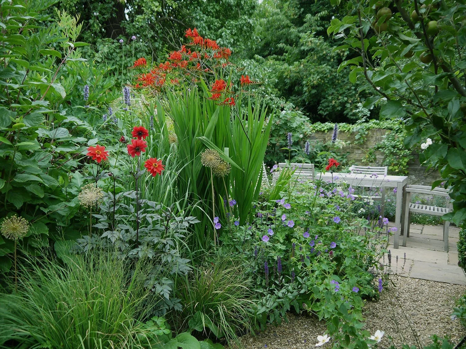 Ein Garten mit rot blühender Crocosmia Luzifer, roter Dahlie und anderen Stauden, mit einer Sitzgruppe aus Holzmöbeln im Hintergrund.